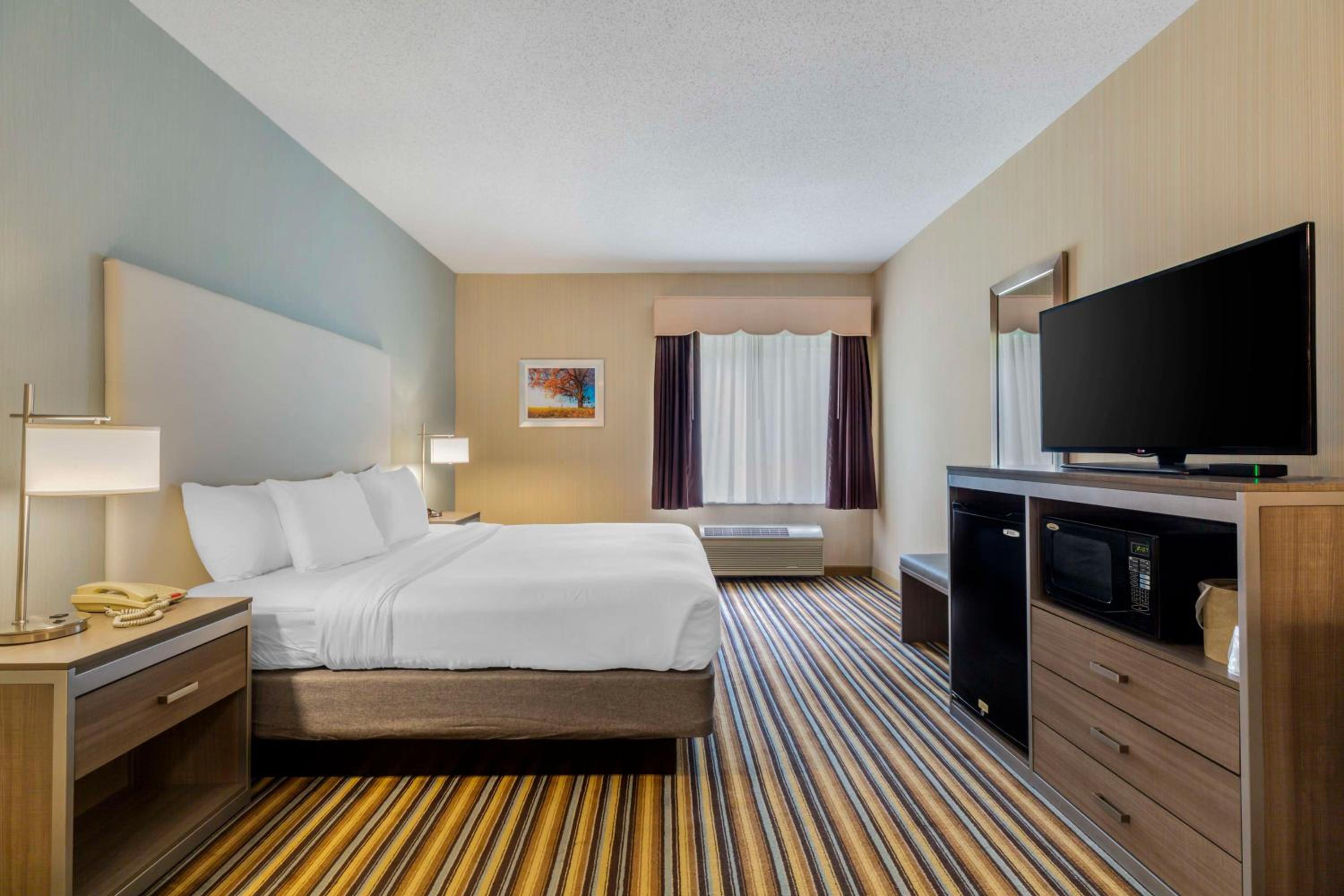 King Suite with Sofa Bed - Non-Smoking - Photo 8