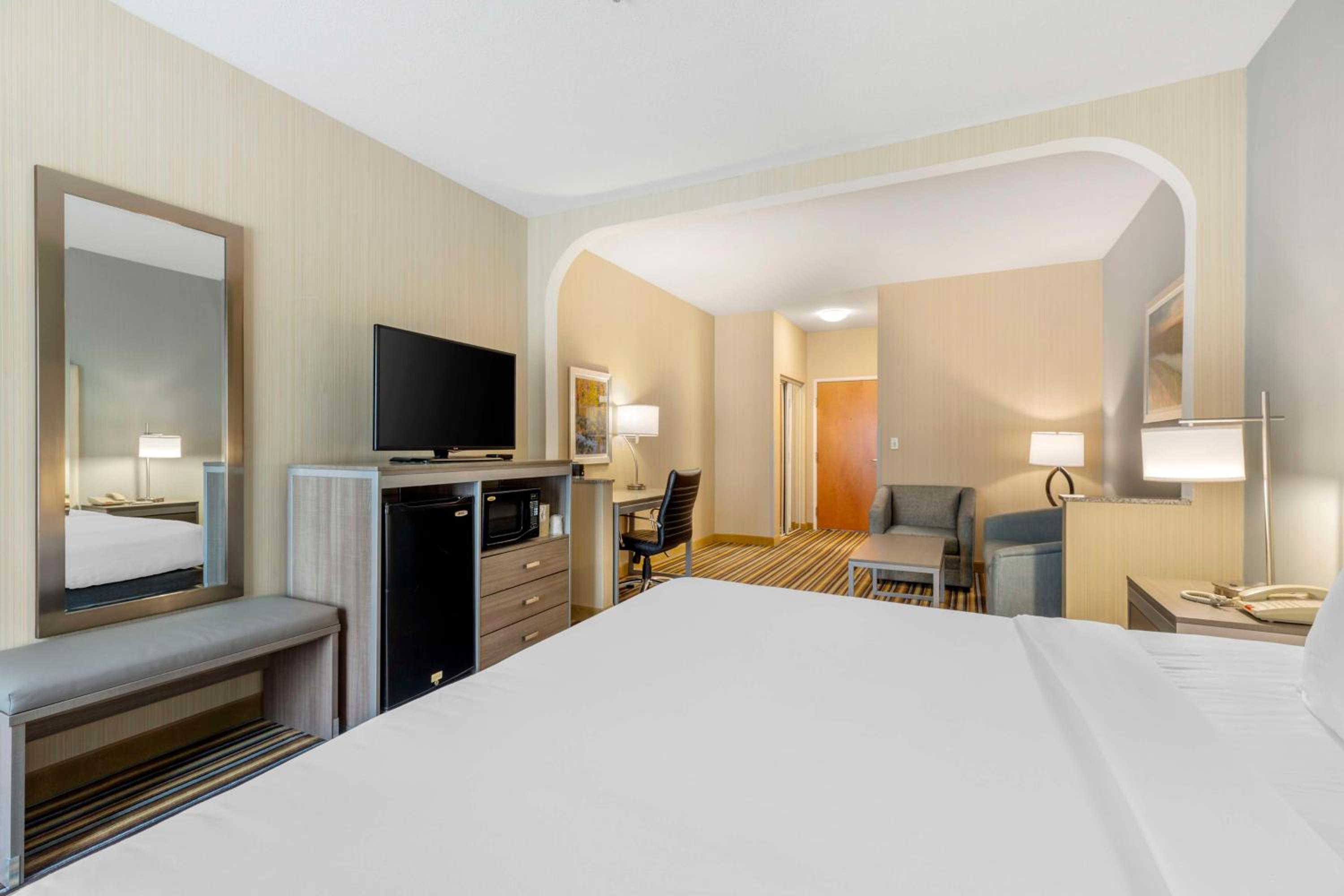 King Suite with Sofa Bed - Non-Smoking - Photo 7