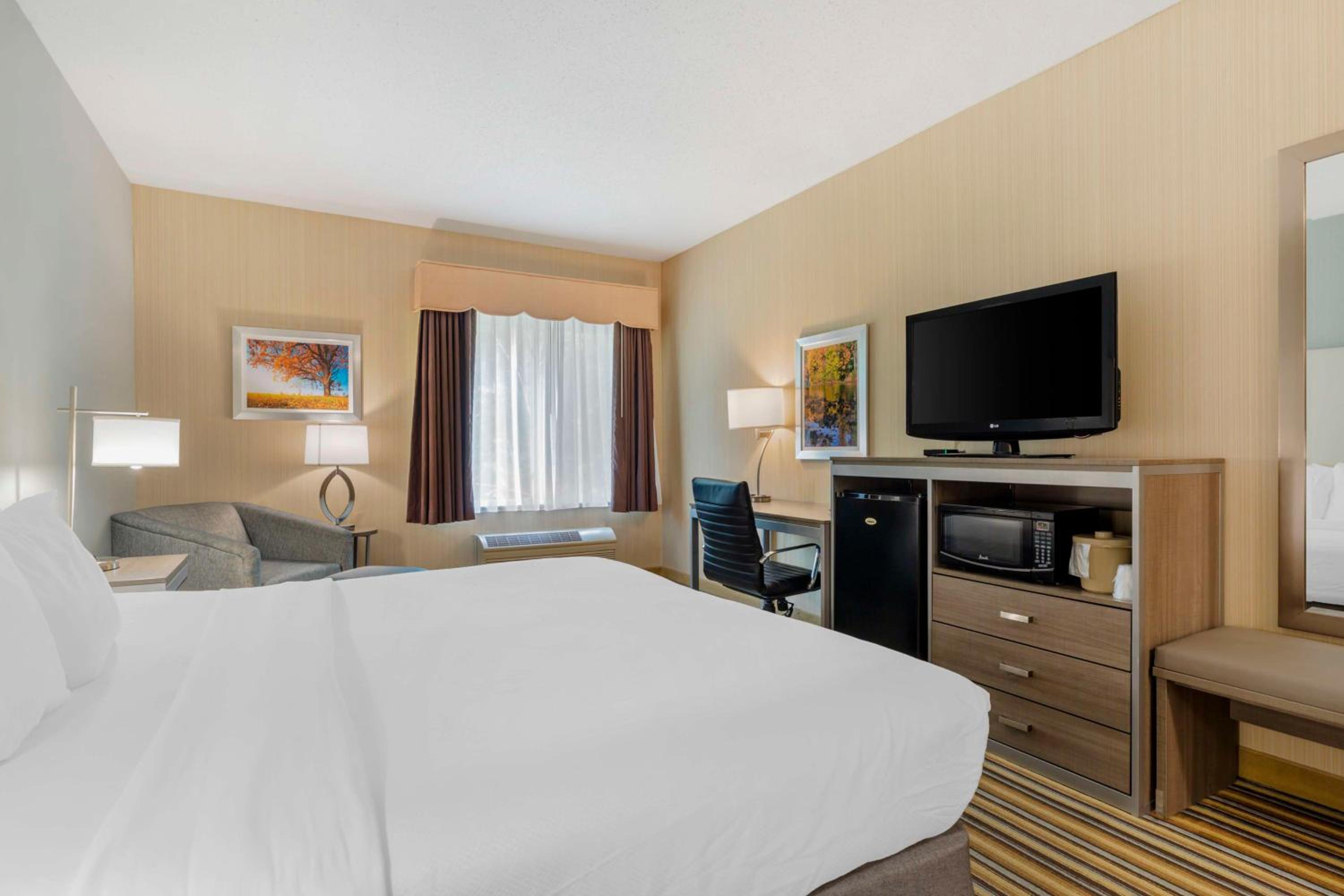 King Room - Non-Smoking - Photo 9