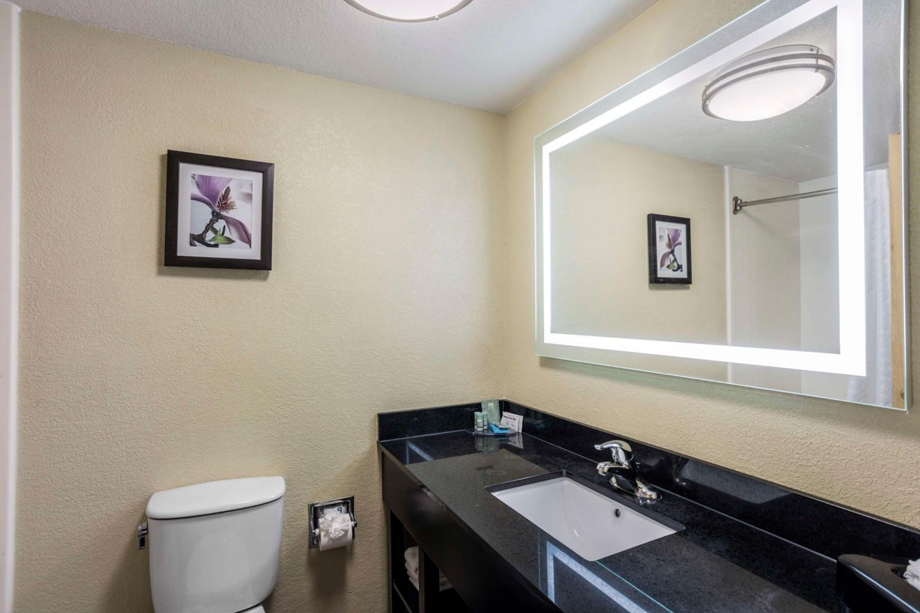 King Suite - Photo 2