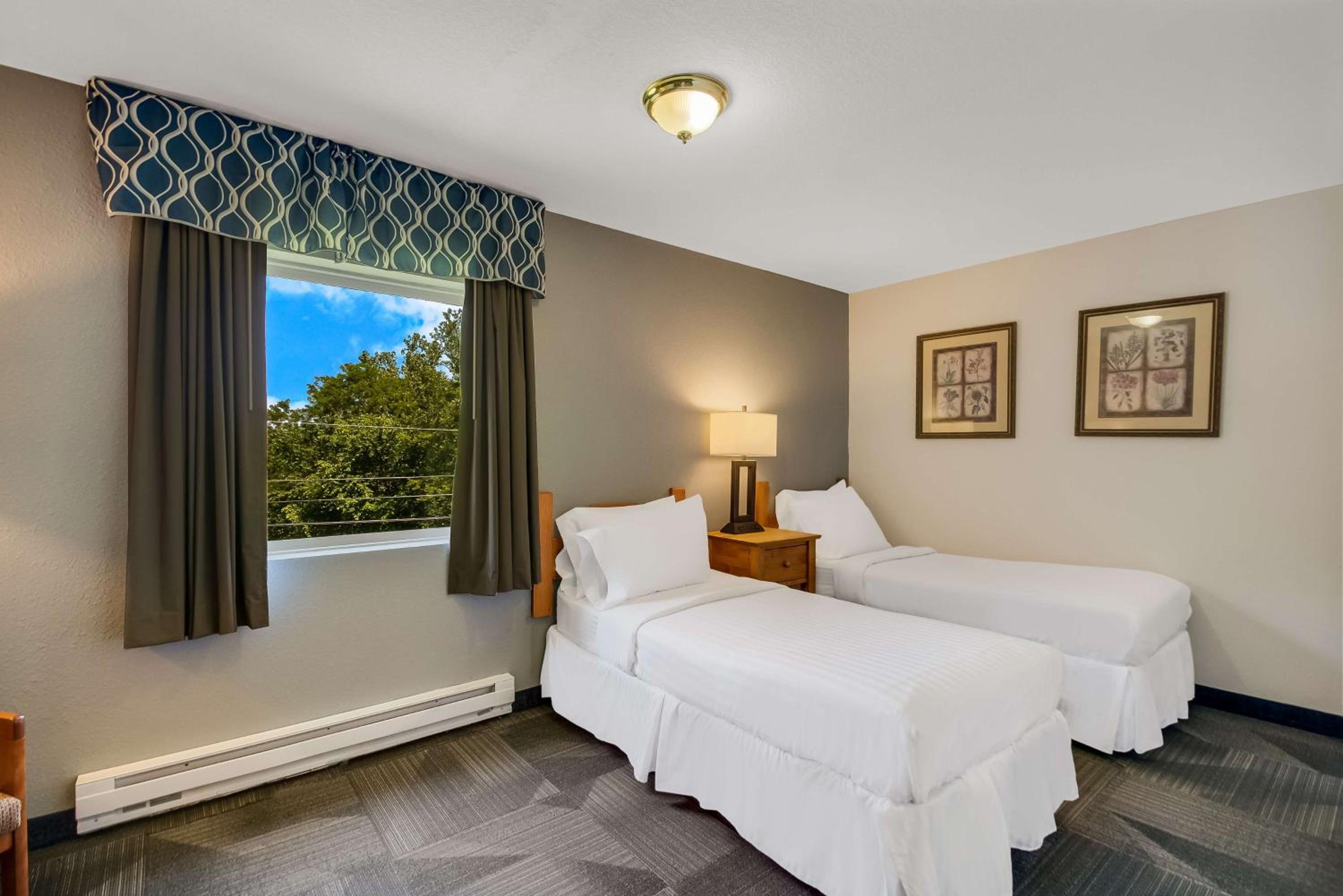 Two-Bedroom King Suite photo 2