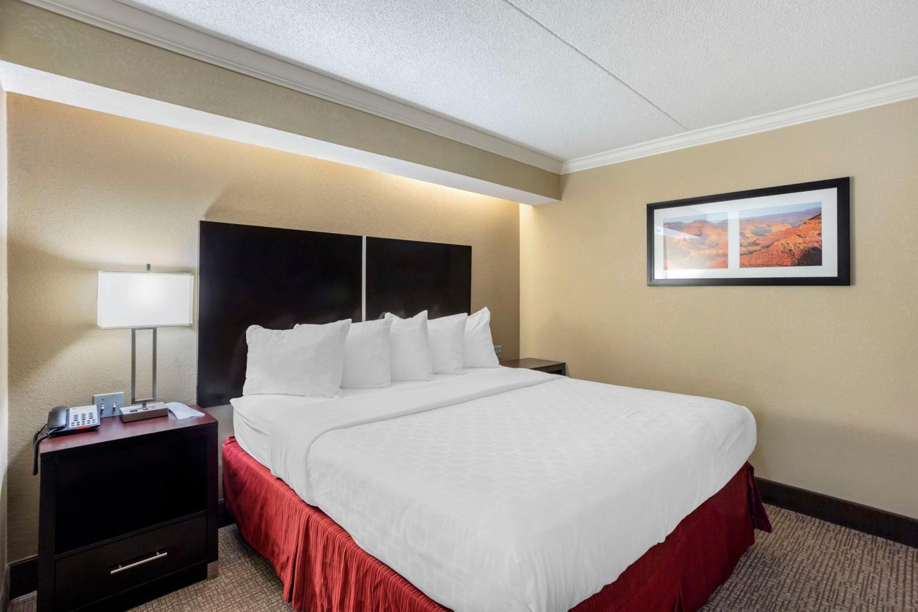 King Suite with Sofa Bed - Photo 4