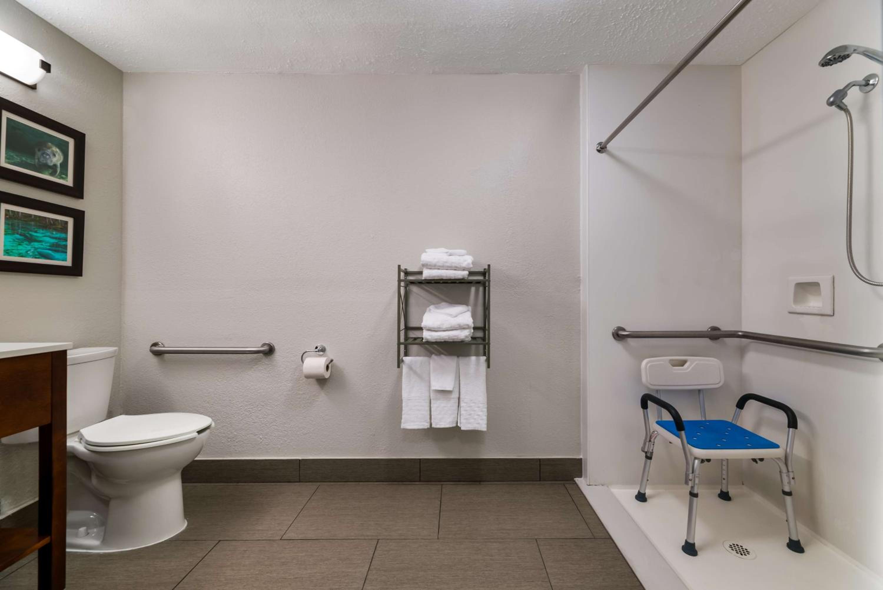 King Room with Roll-In Shower - Disability Access - Photo 5
