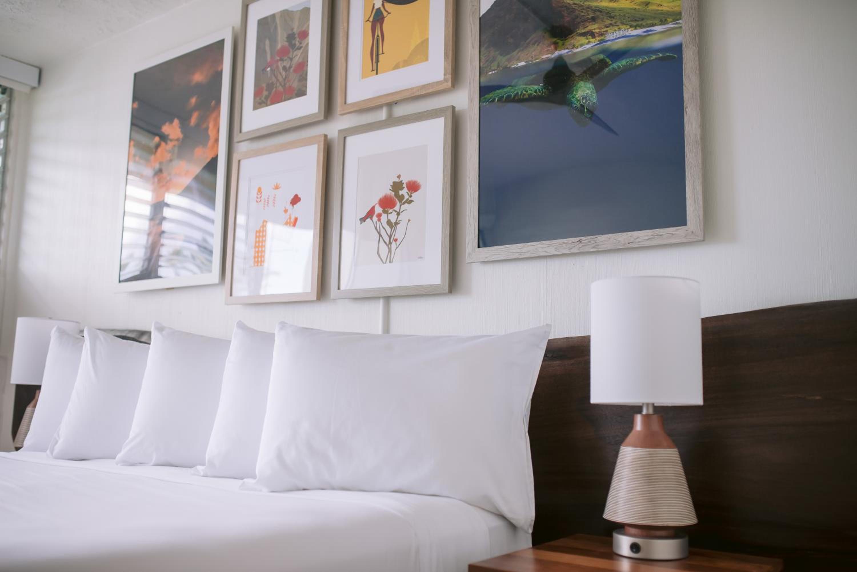 Standard King Room - Photo 4