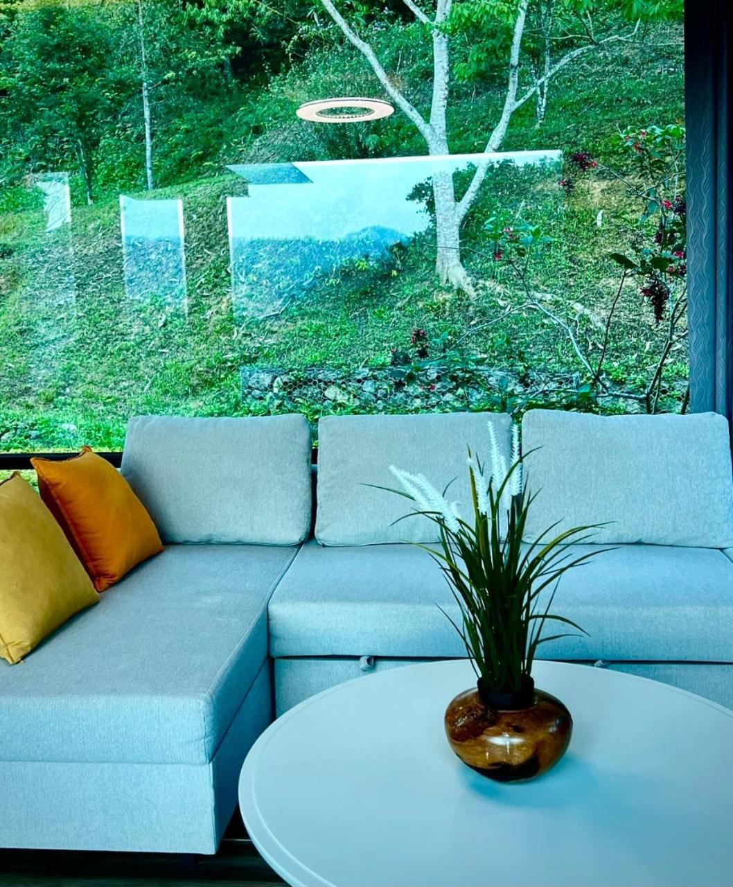King Room with Garden View photo 2
