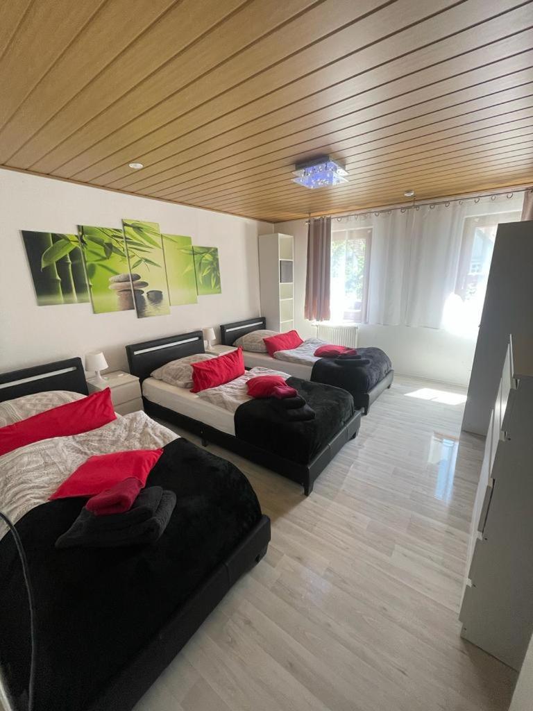 Apartment with Terrace photo 1