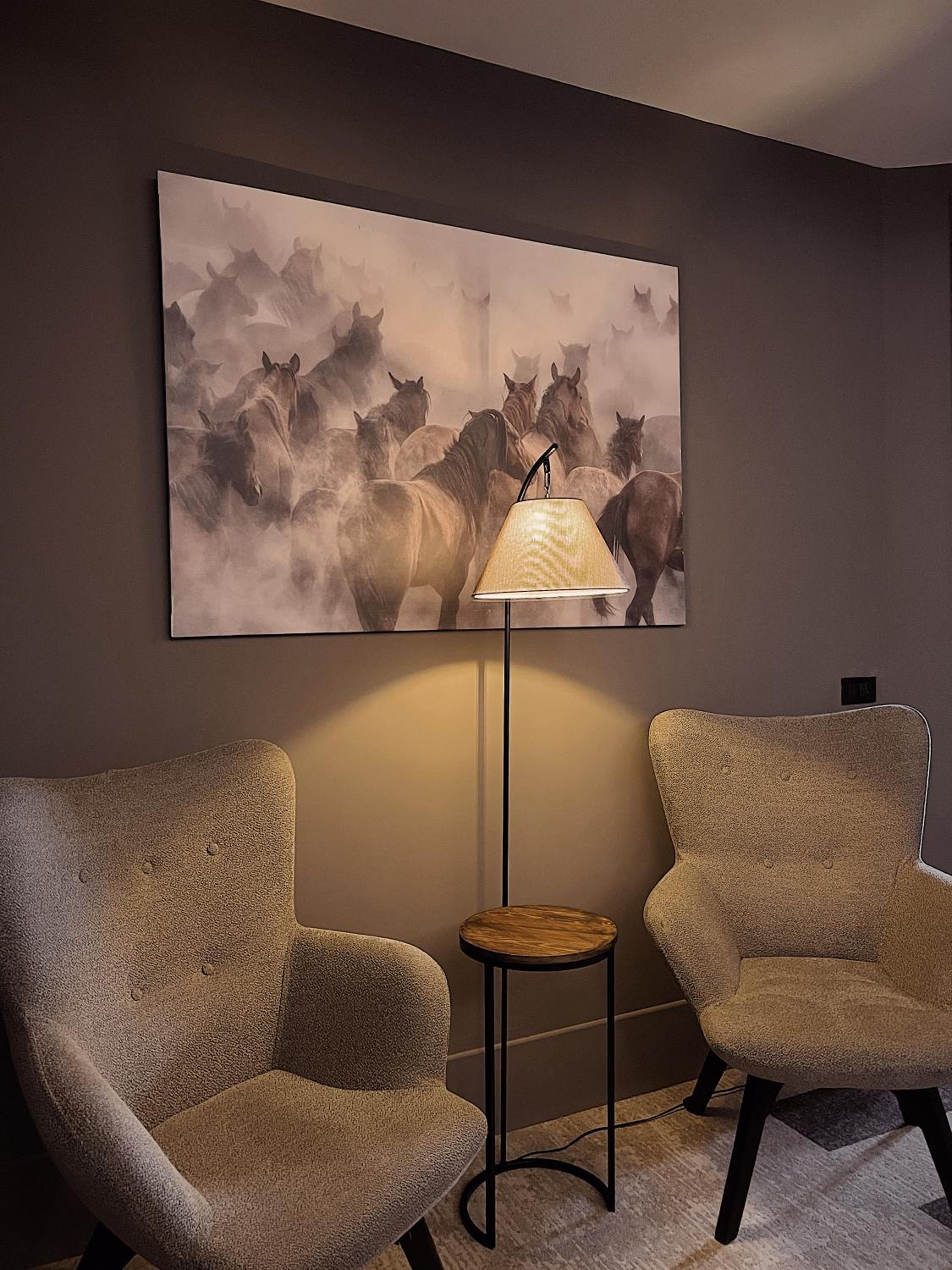Suite - Photo 5