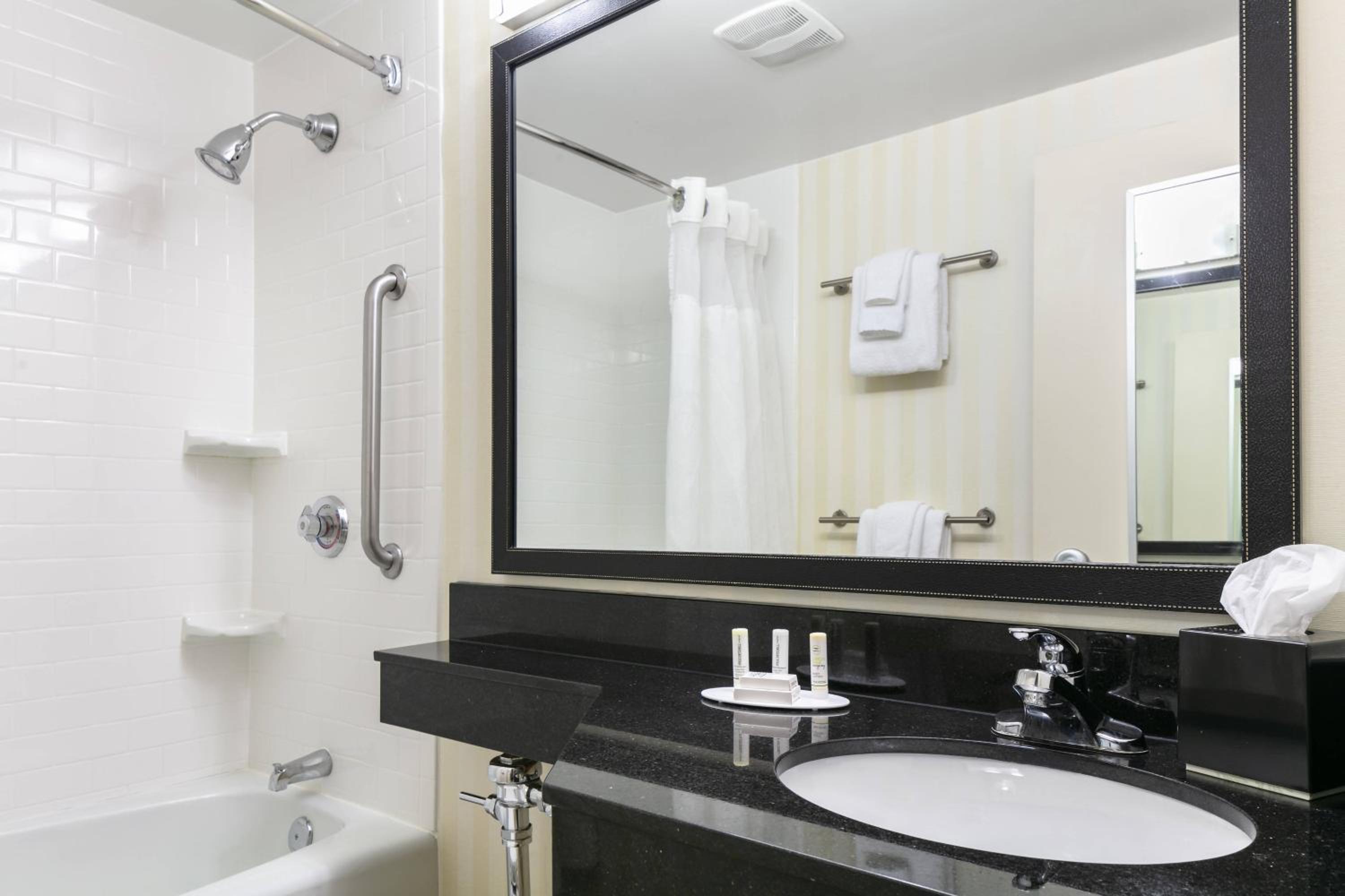Deluxe King Suite - Photo 4