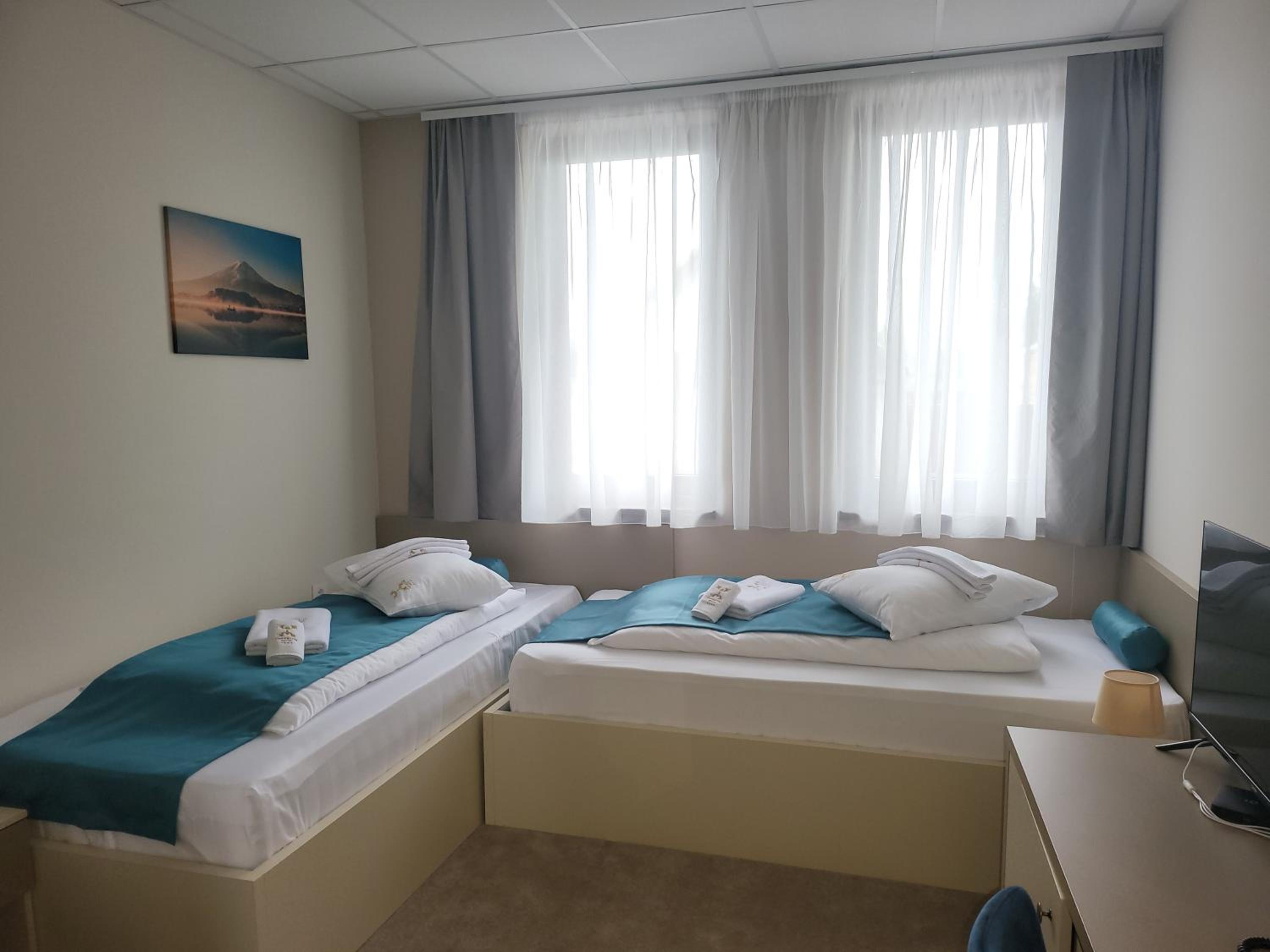 Deluxe Double or Twin Room with City View photo 2