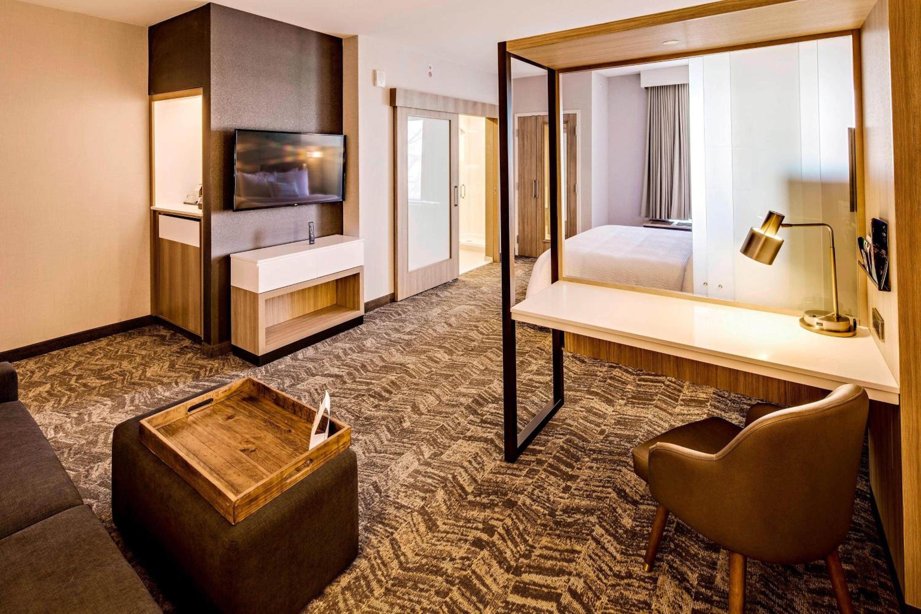 Executive Suite with Sofa Bed