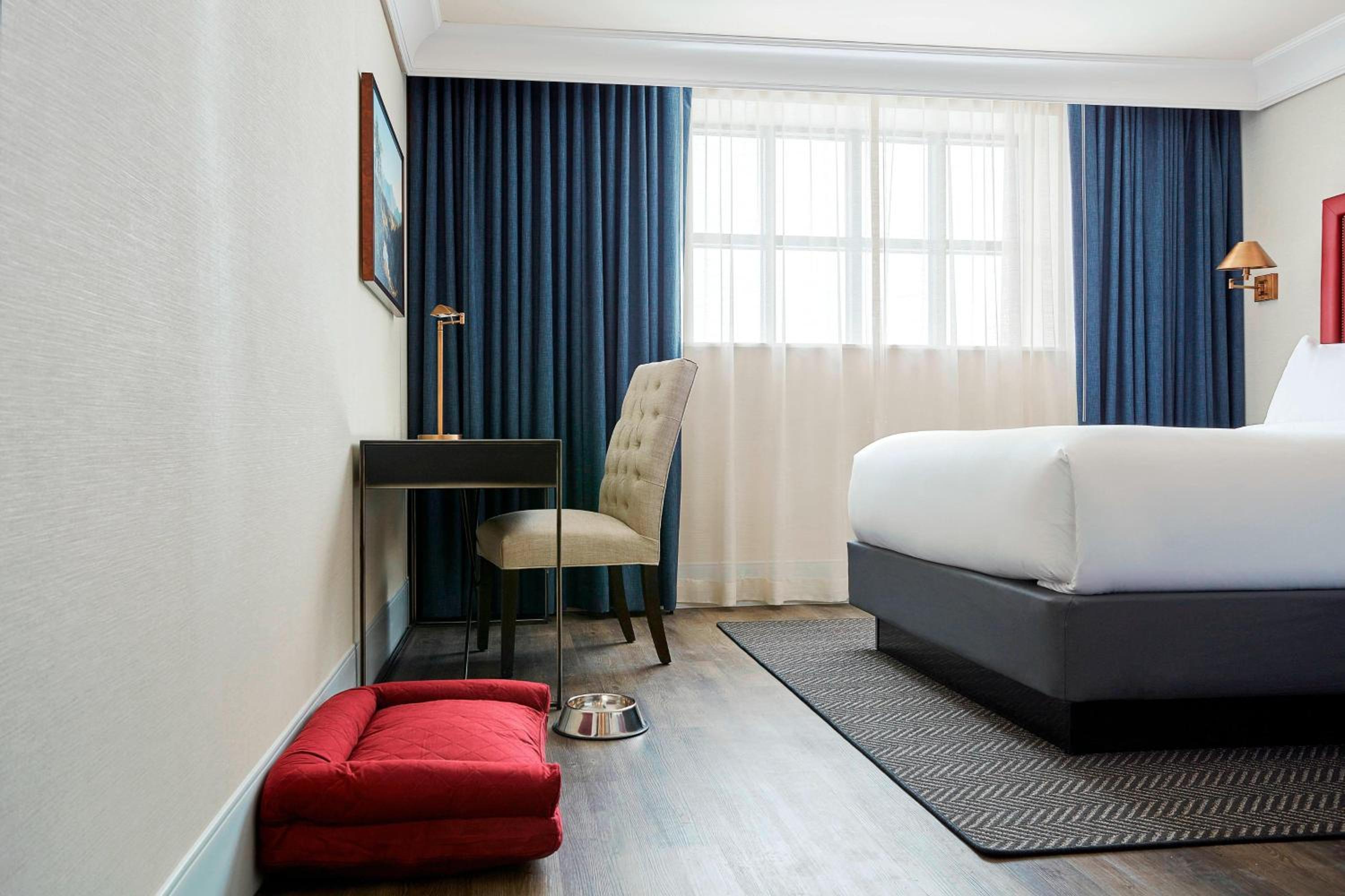King Room with Sofa Bed photo 1