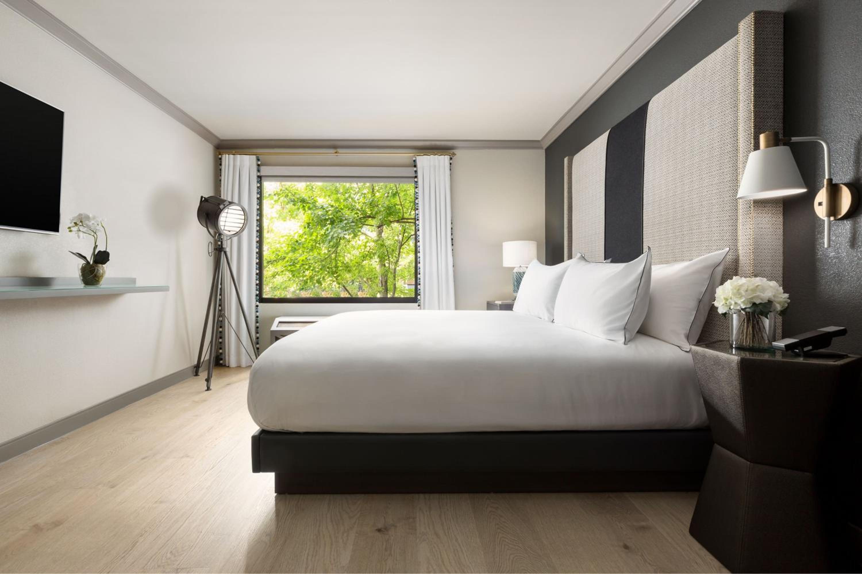 Standard King Room - Photo 3