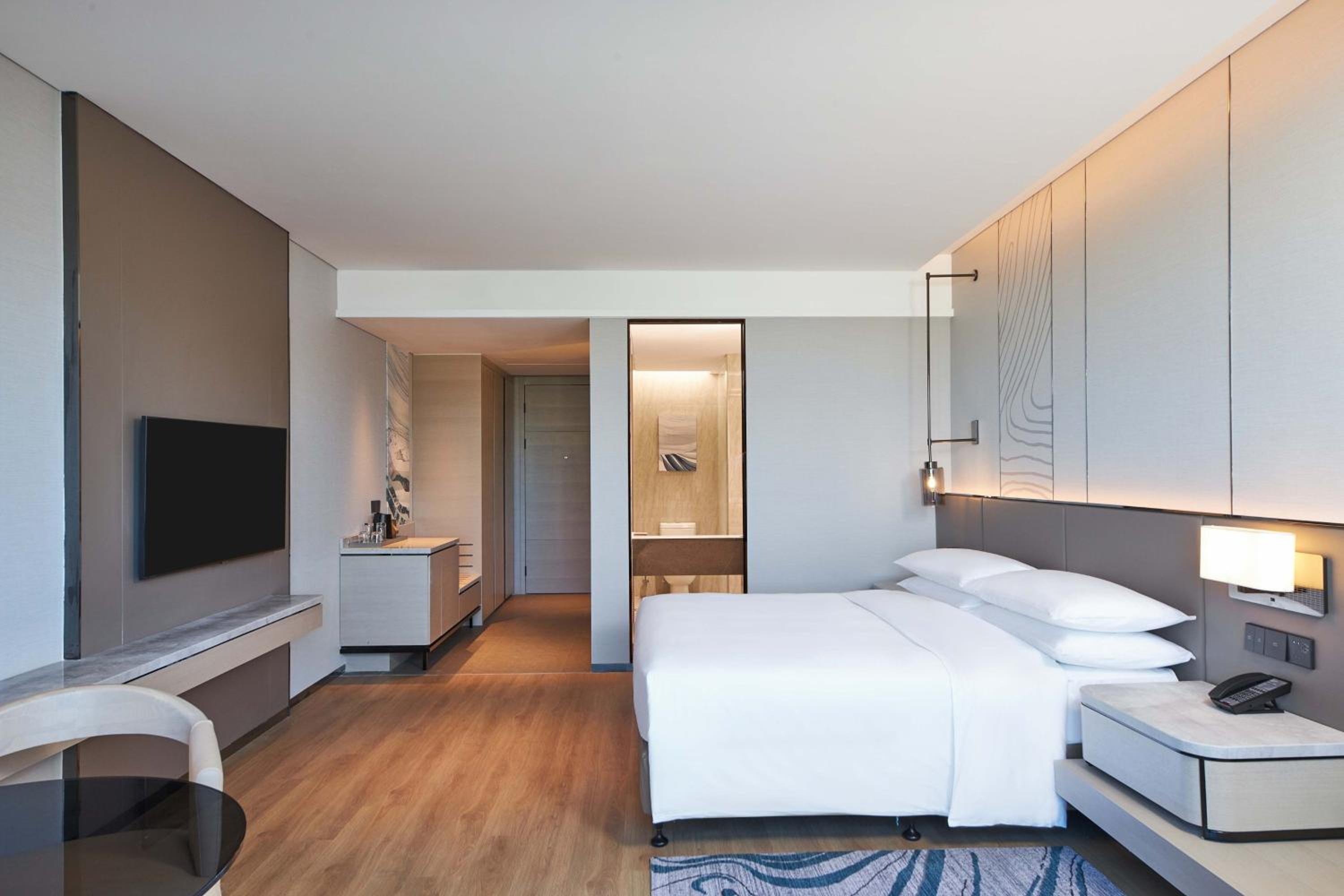Premier King Room with City View photo 1