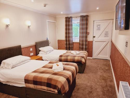 Twin Room - Photo 4