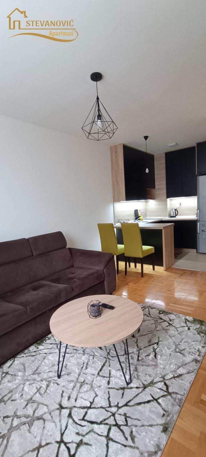 One-Bedroom Apartment photo 3