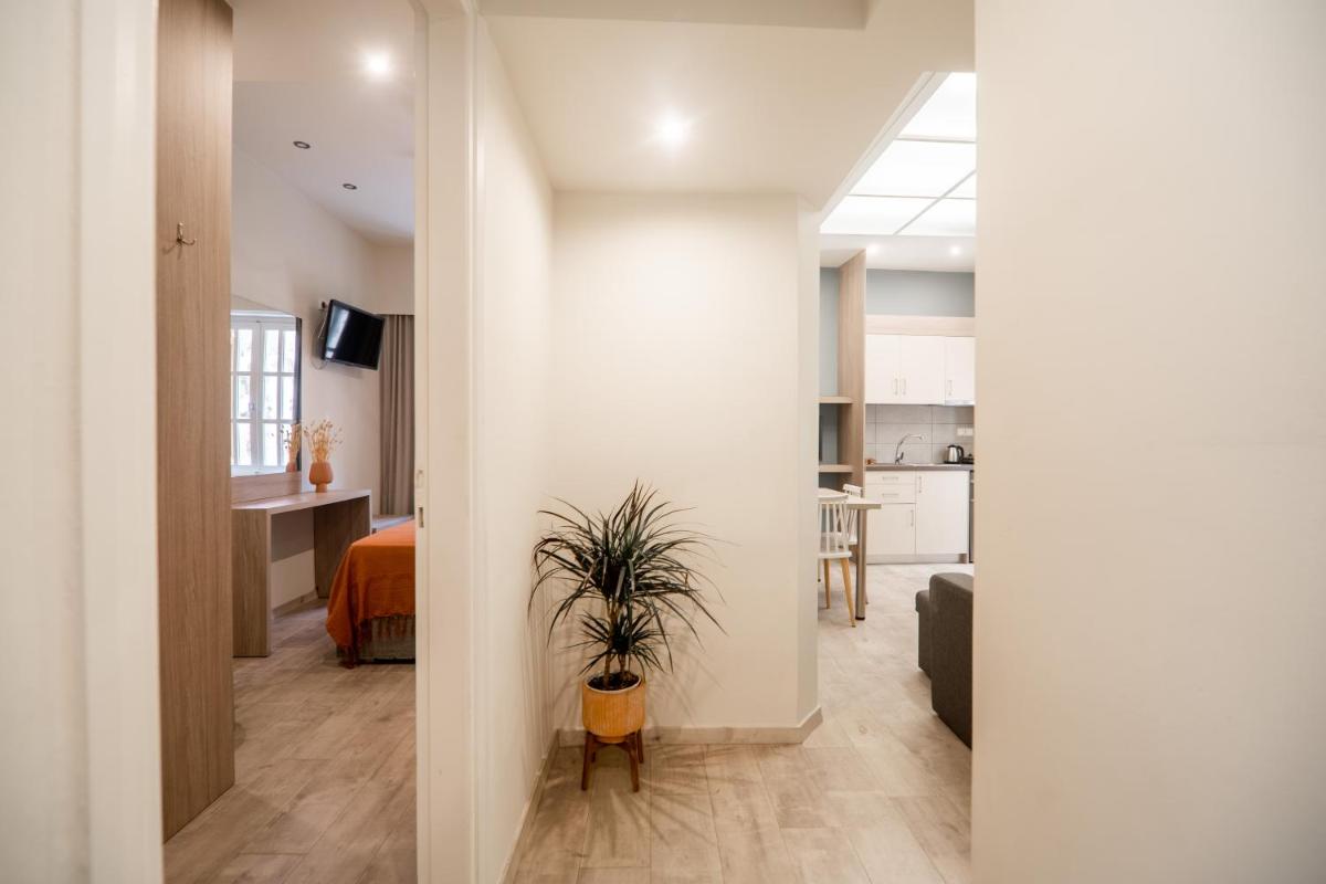 Deluxe Apartment