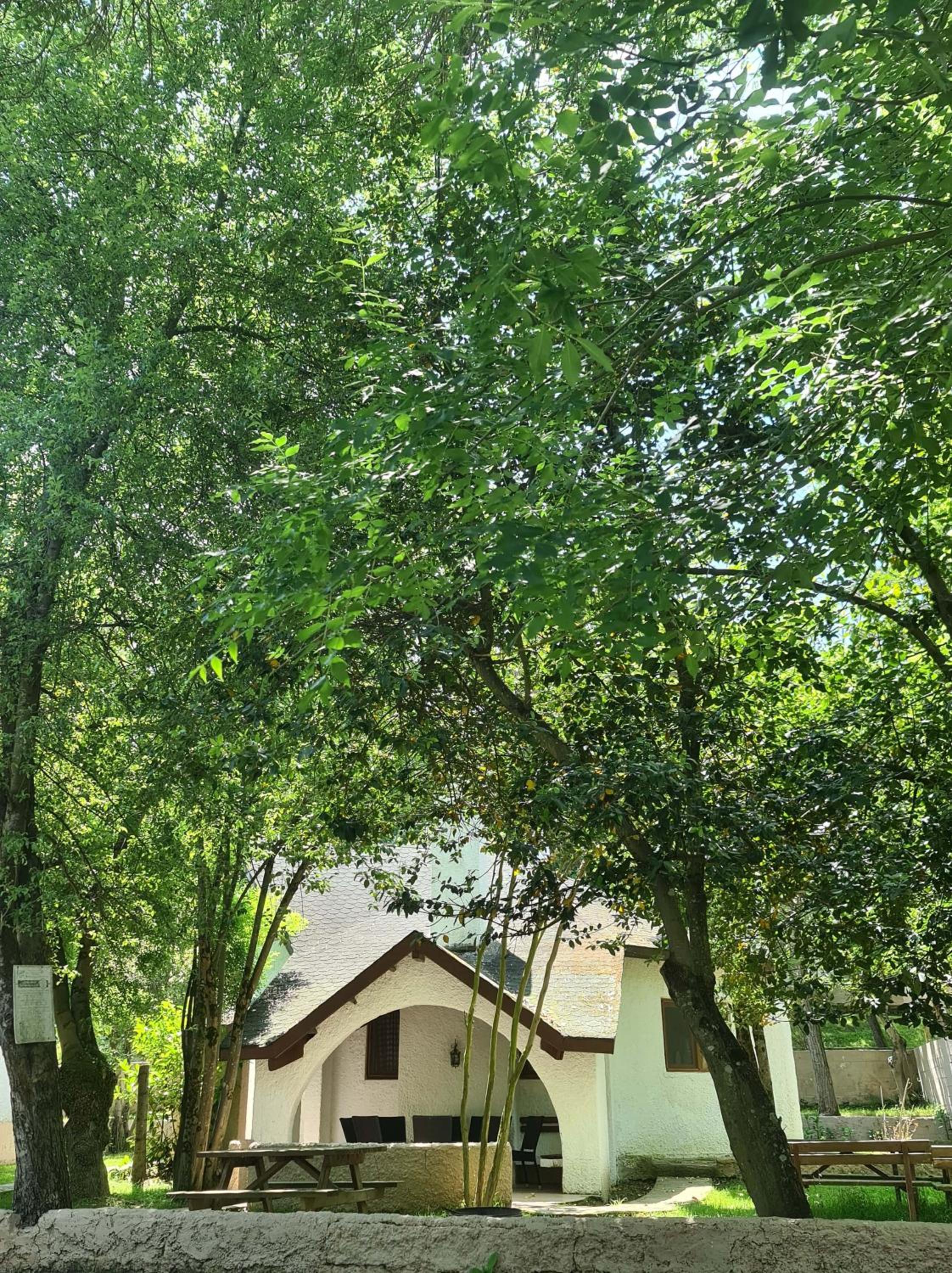 Villa - Photo 17