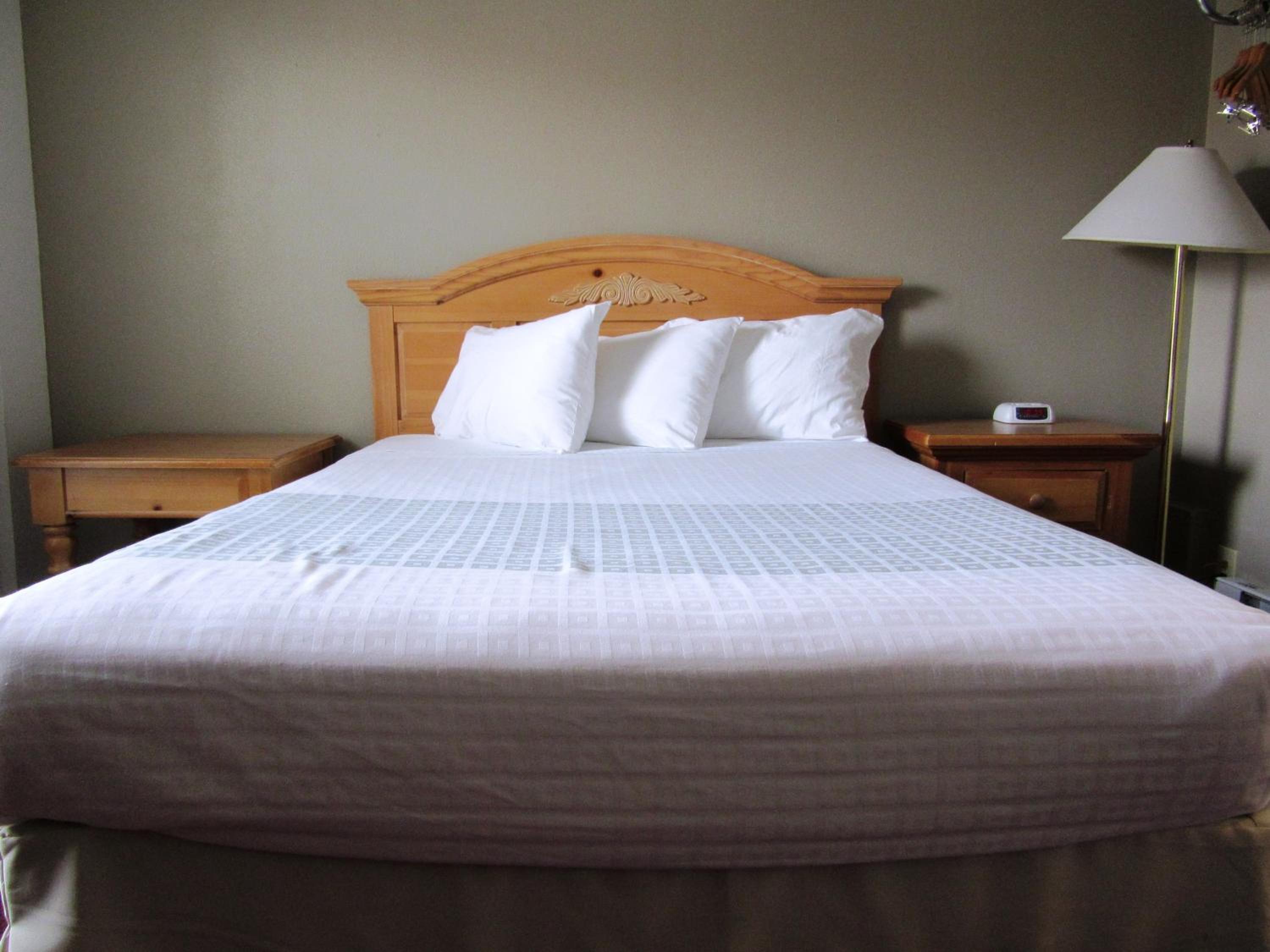 One King Room photo 1