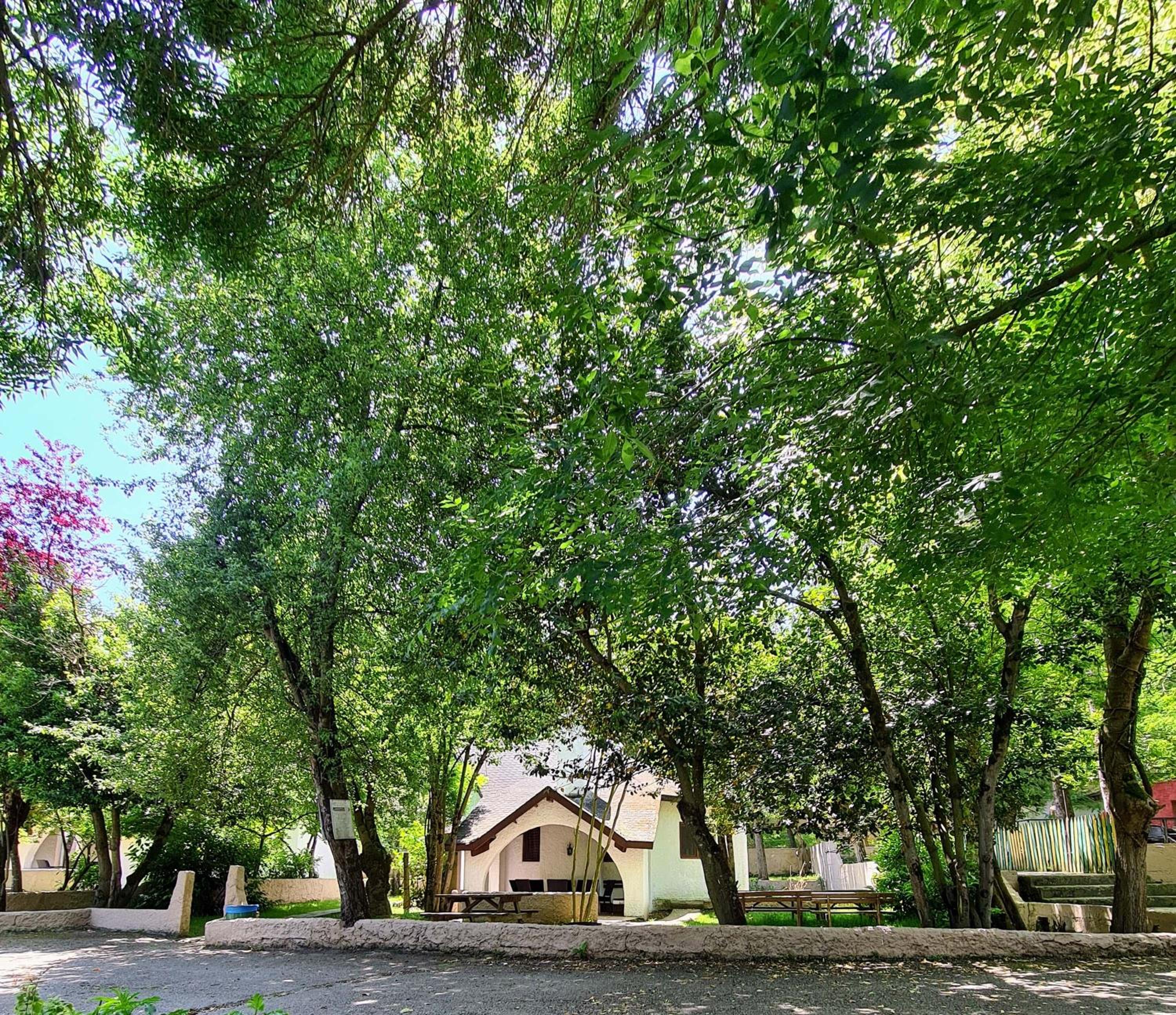 Villa - Photo 2