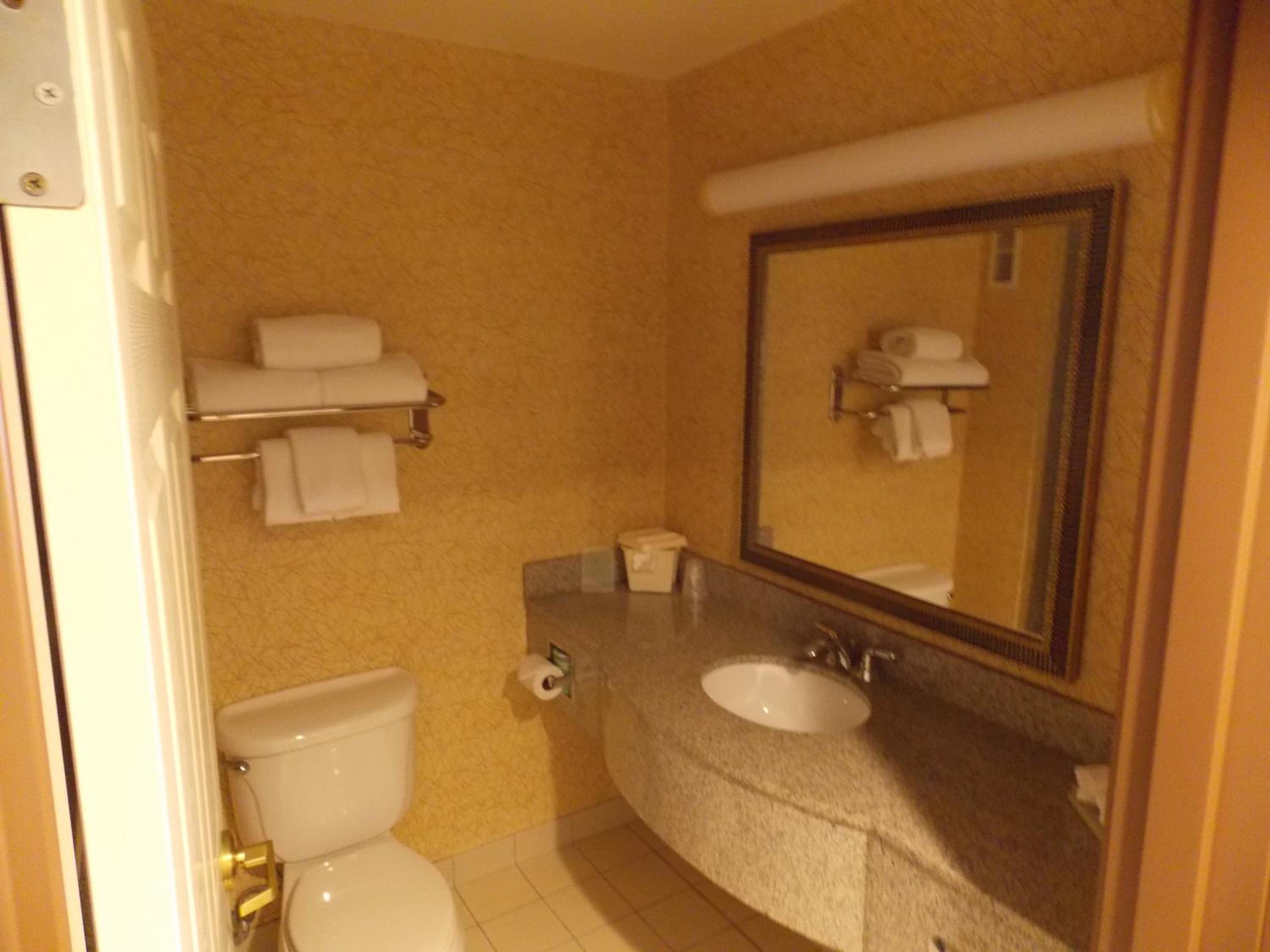 Standard King Room with Roll-in Shower - Mobility Accessible - Photo 3