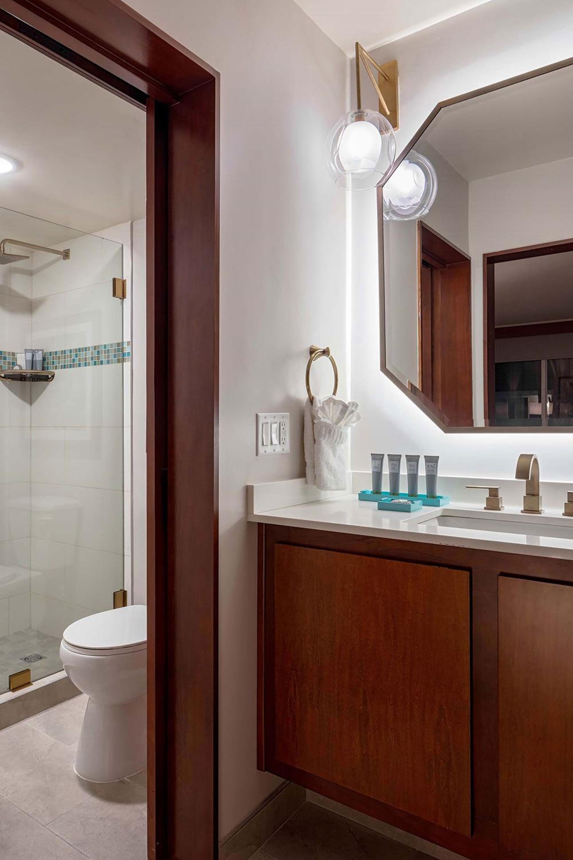 Poolside King Room with Roll-in Shower - Mobility and Hearing Accessible - Photo 7