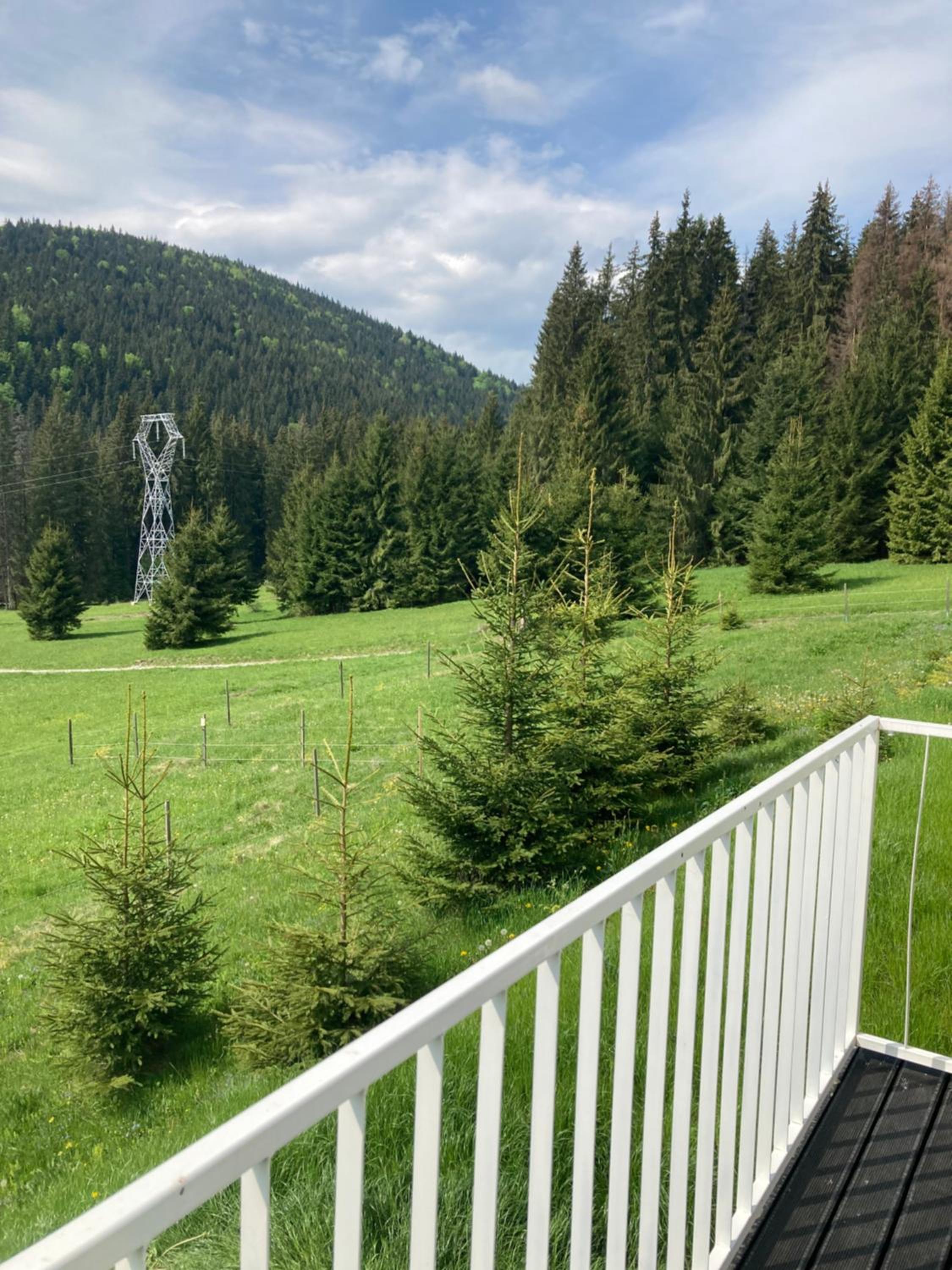 Vacation Home photo 3