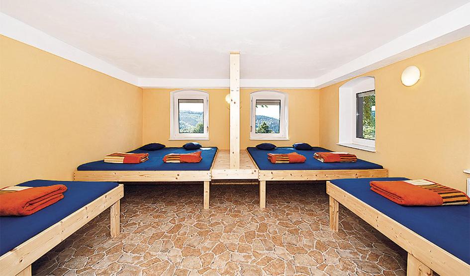 6-Bed Mixed Dormitory Room photo 1