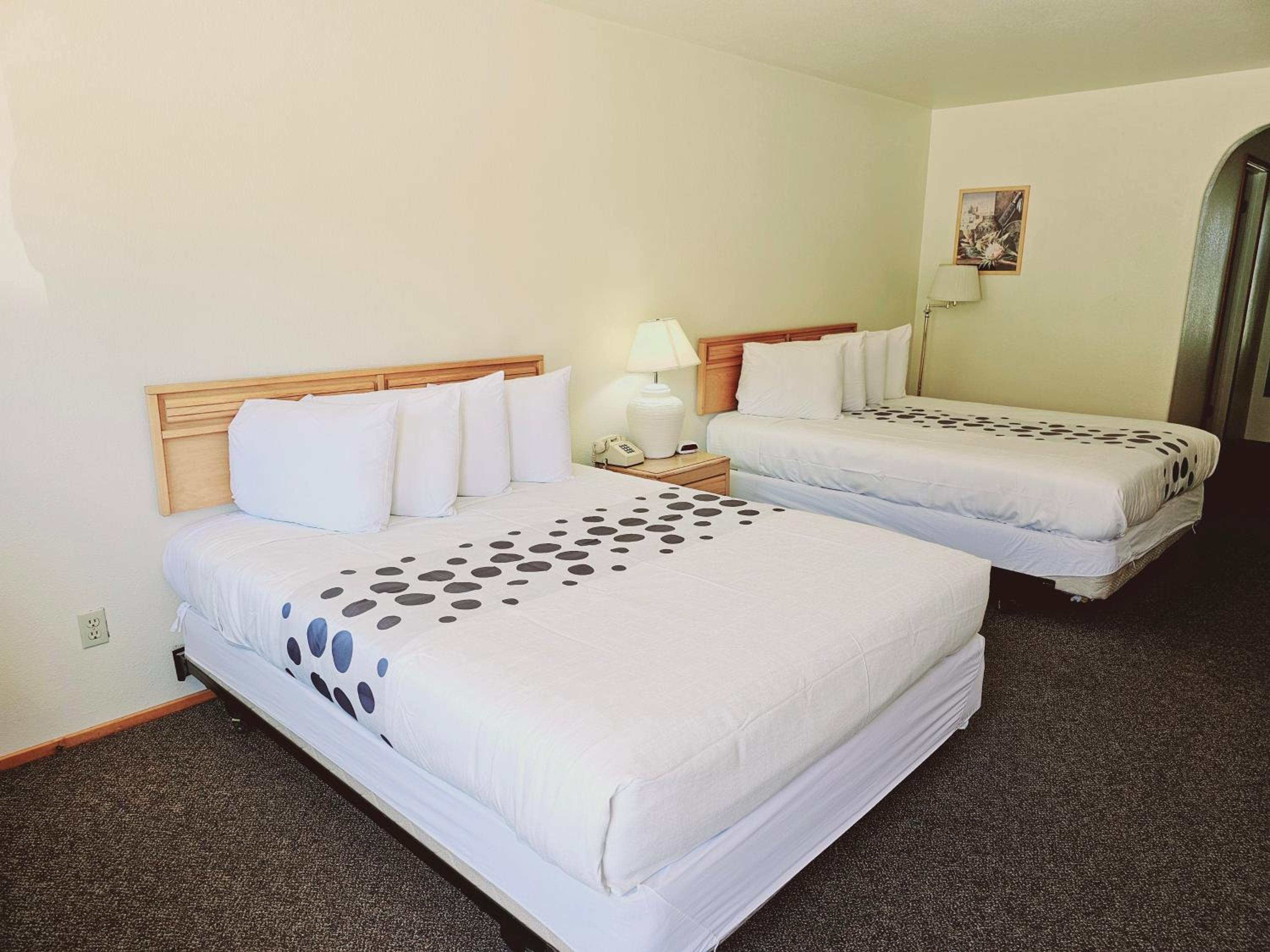 Standard Double Room - Photo 4