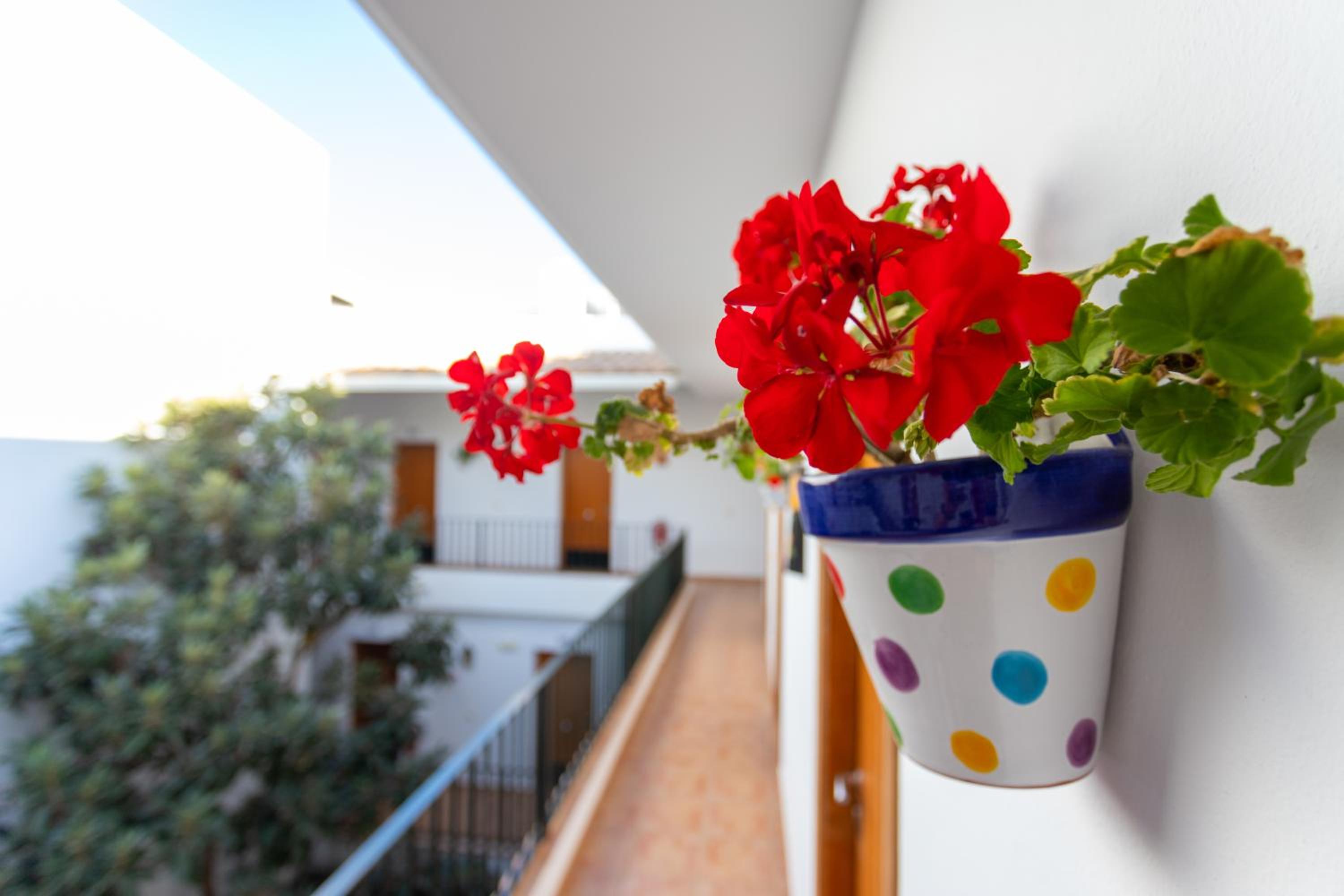 Double Room with Terrace - Photo 16