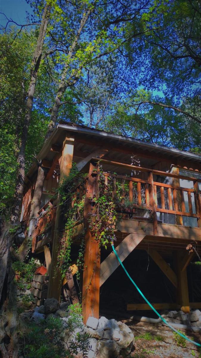 Superior Chalet photo 1