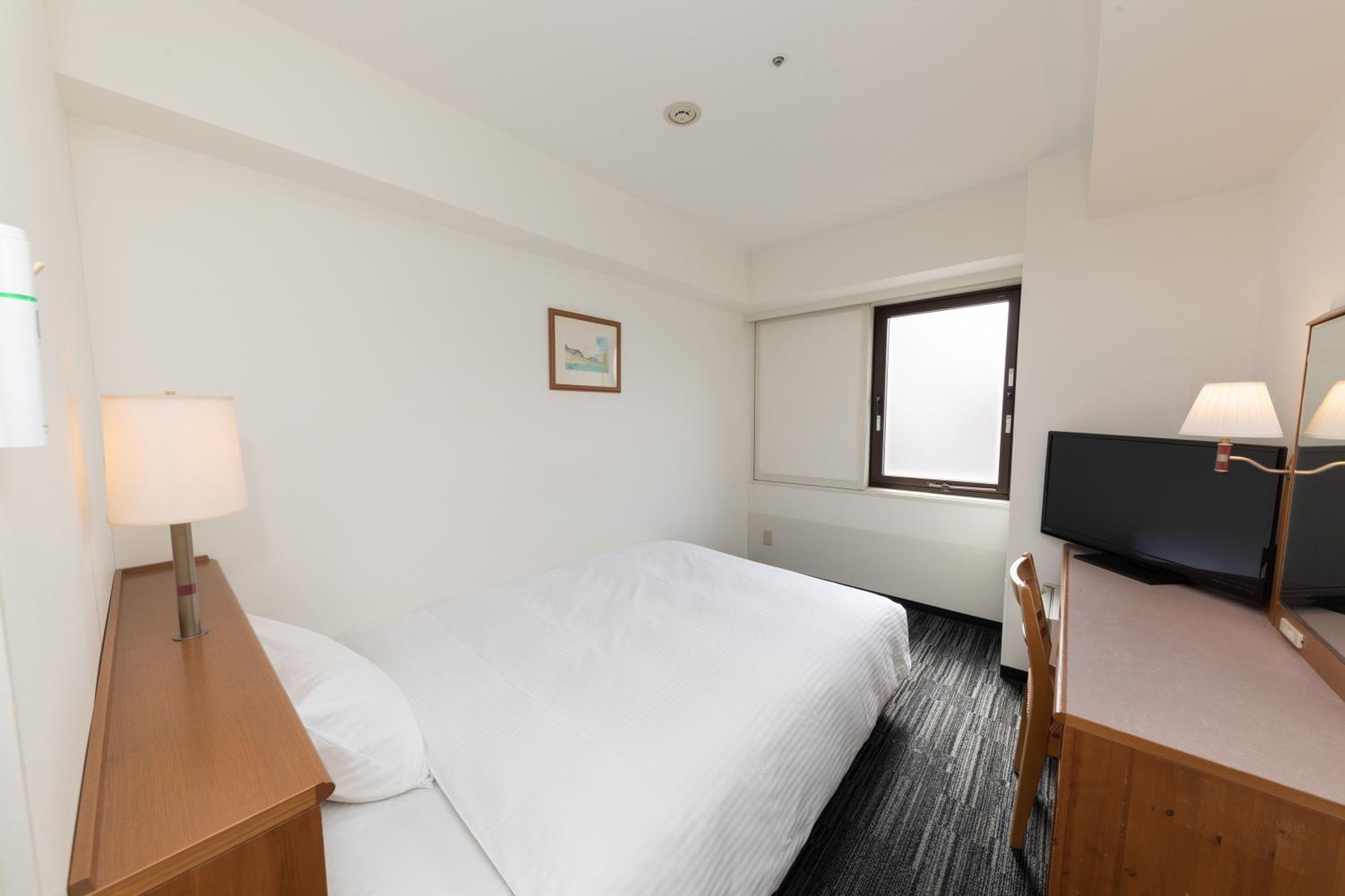 Single Room - Smoking - Photo 5