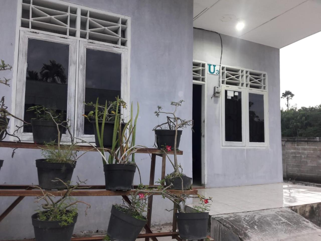 One-Bedroom House photo 2