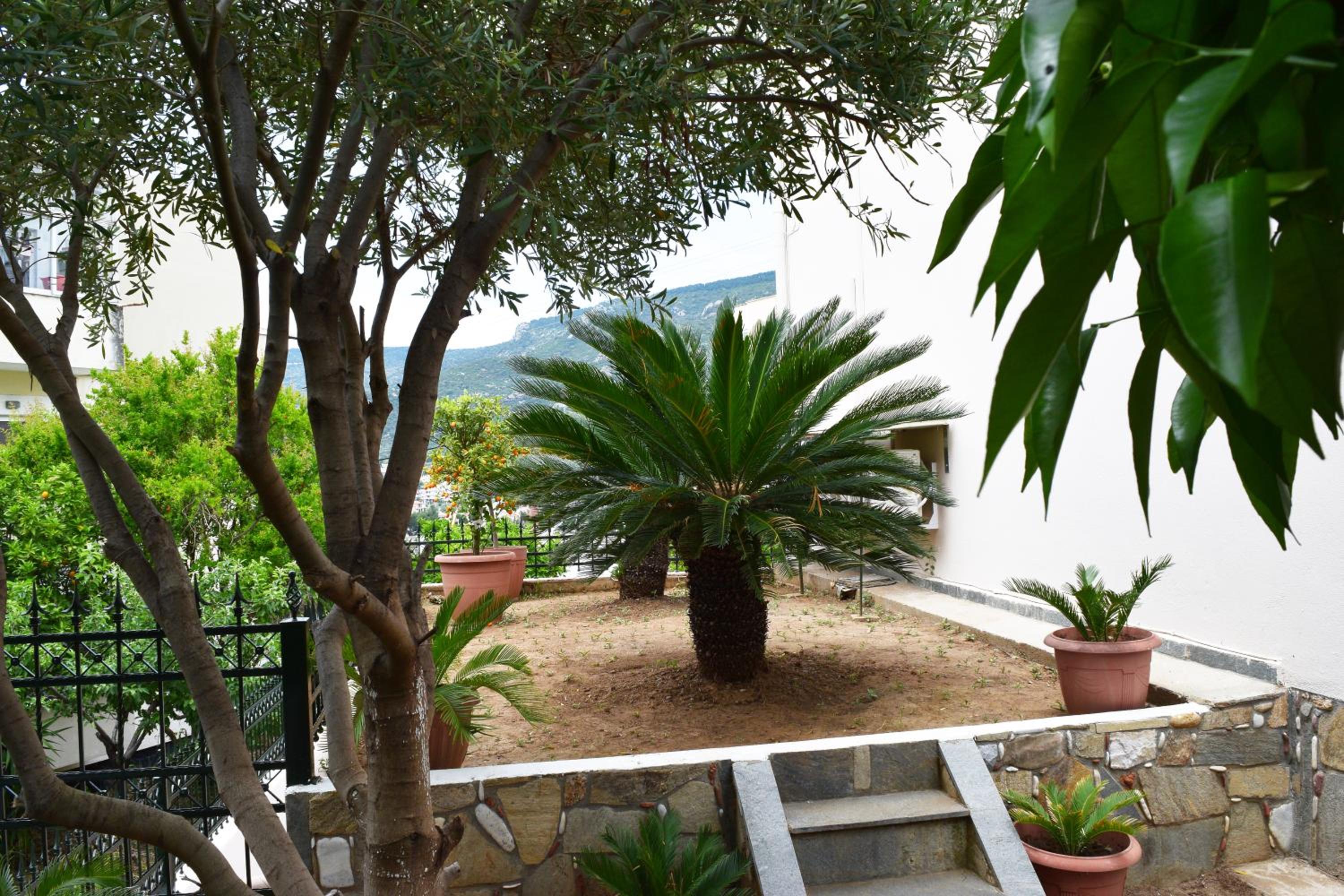 Three-Bedroom Villa photo 3