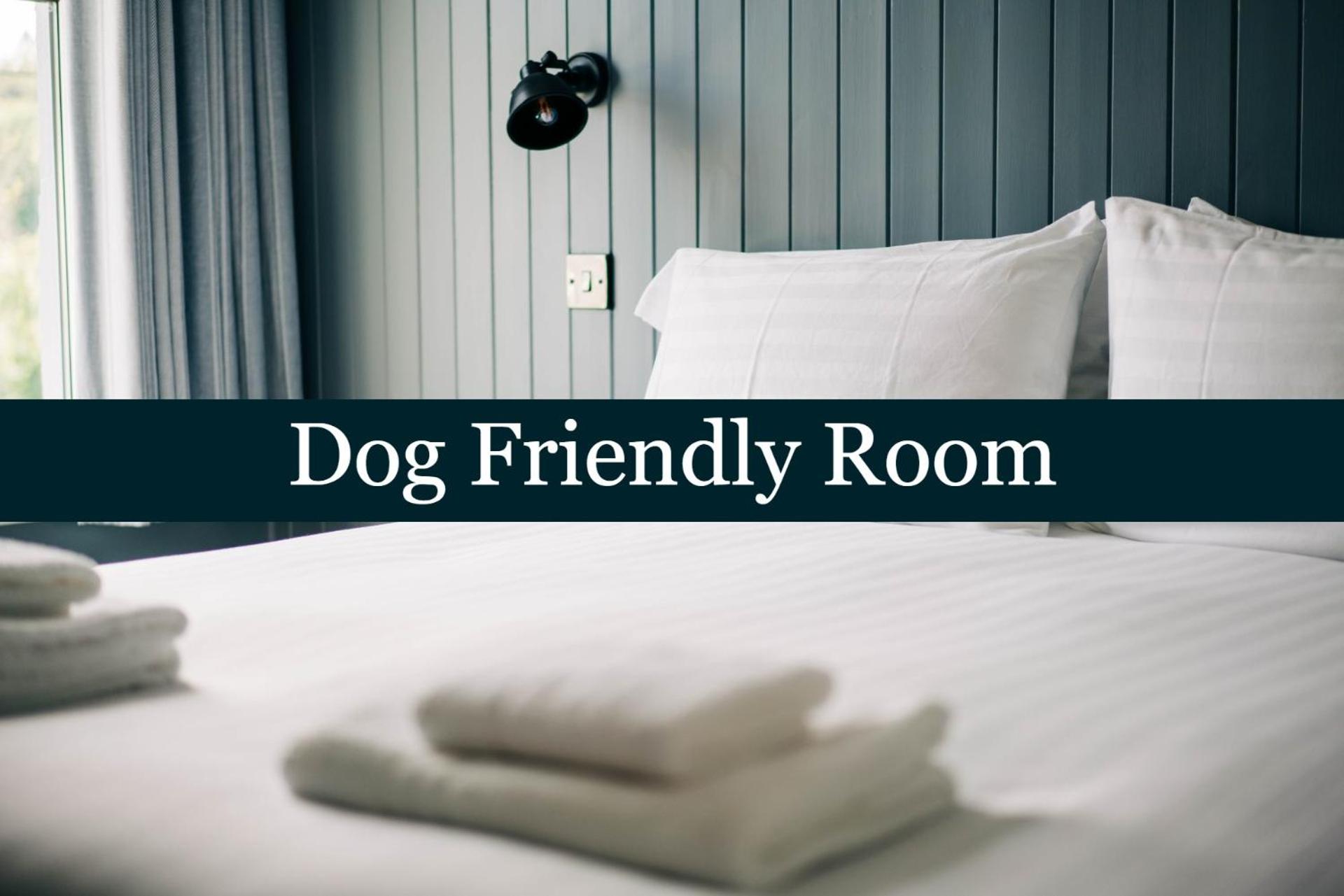 King Room - Photo 6