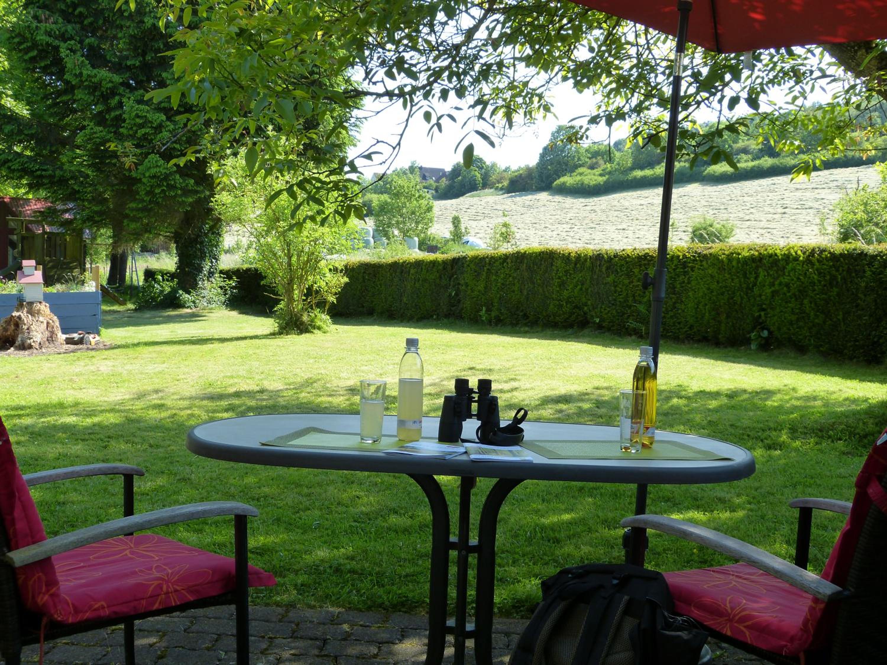 Studio with Terrace photo 2