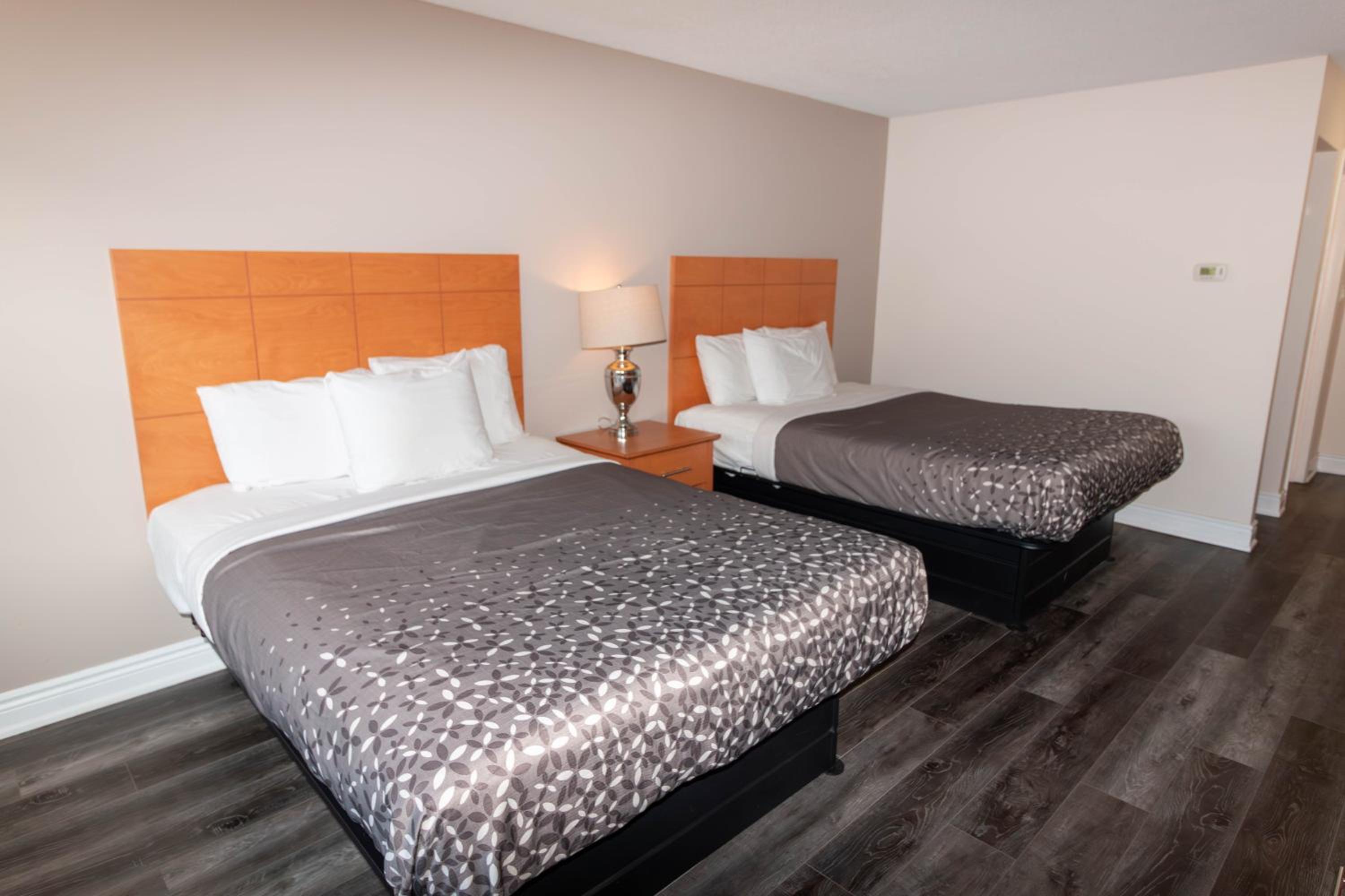 Standard Queen Room