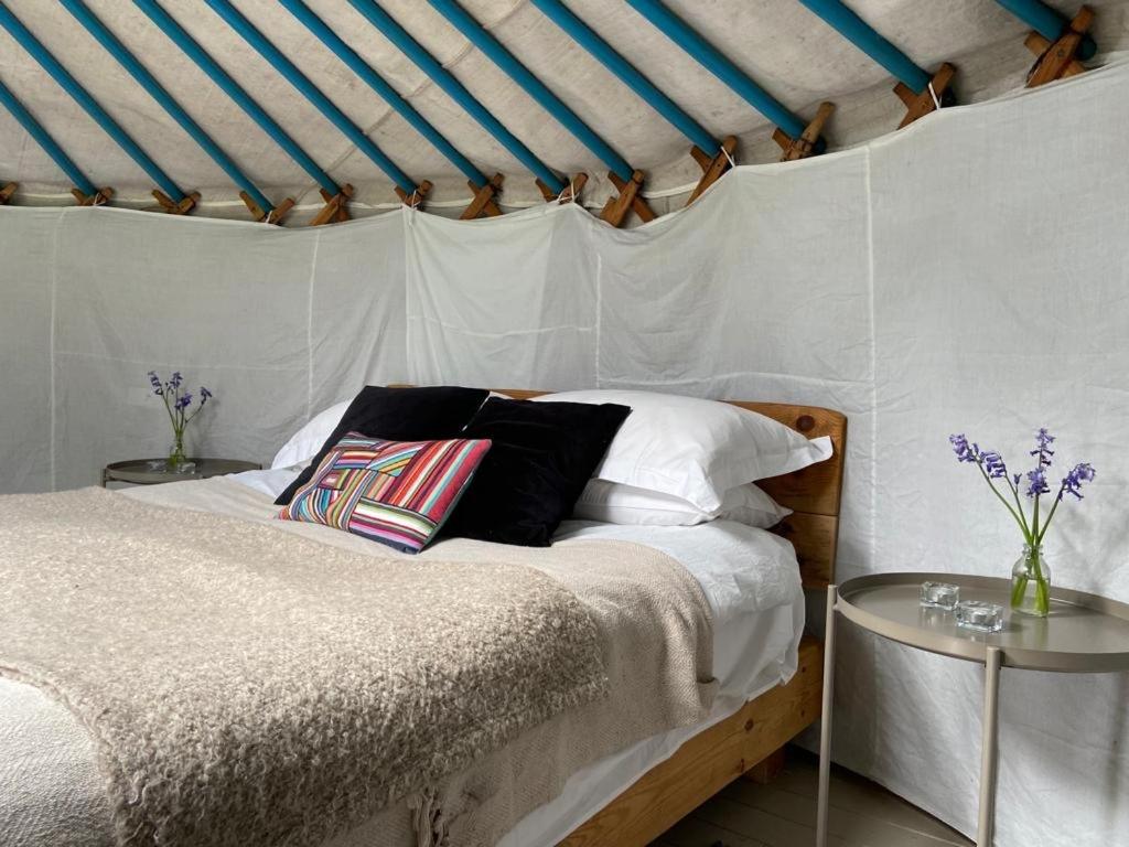 Tent photo 1
