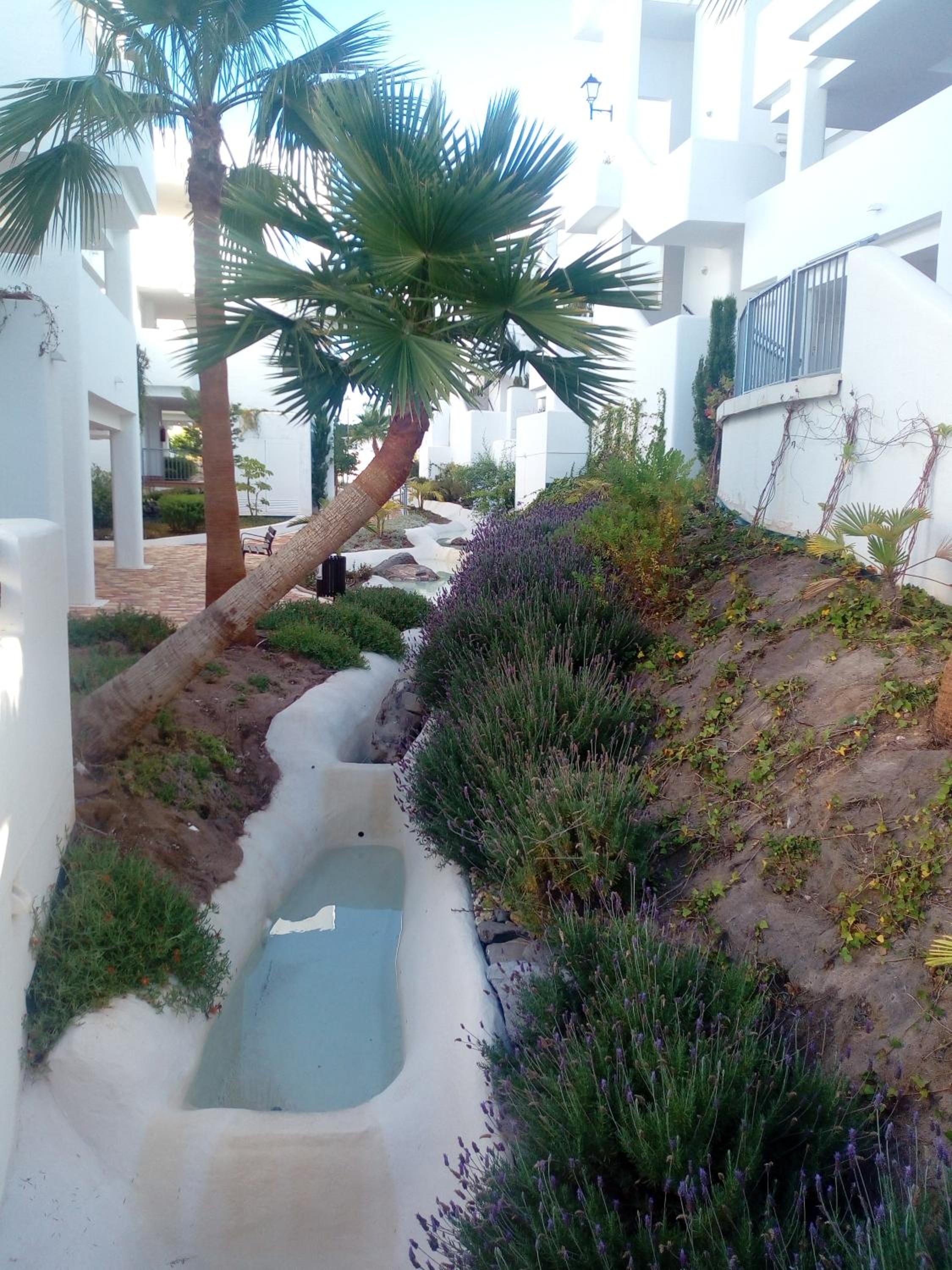 Apartment with Terrace photo 2