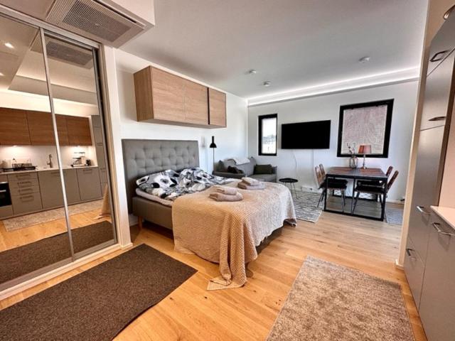 One-Bedroom Apartment - Photo 7