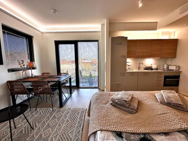 One-Bedroom Apartment - Photo 5