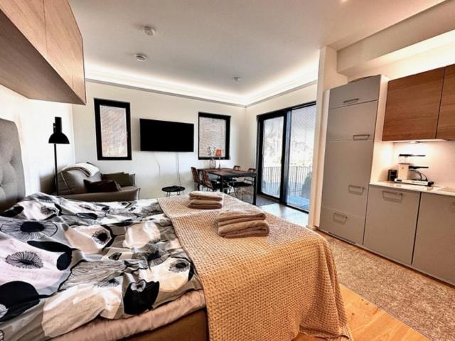 One-Bedroom Apartment - Photo 3