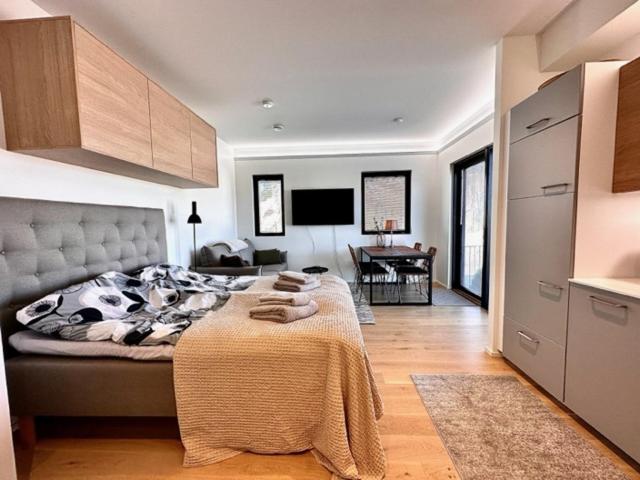 One-Bedroom Apartment - Photo 2