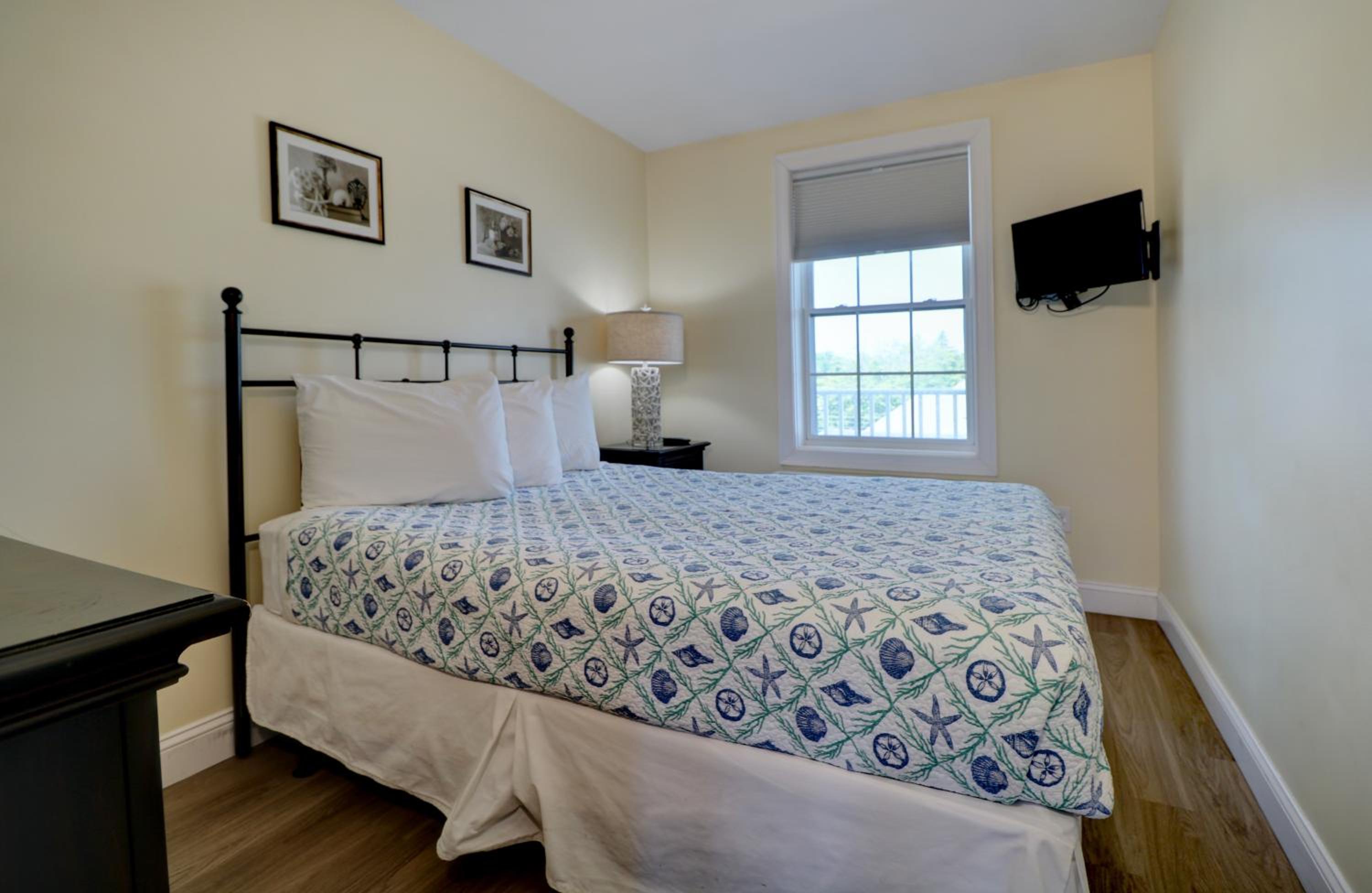 Sand Dollar Suite 5