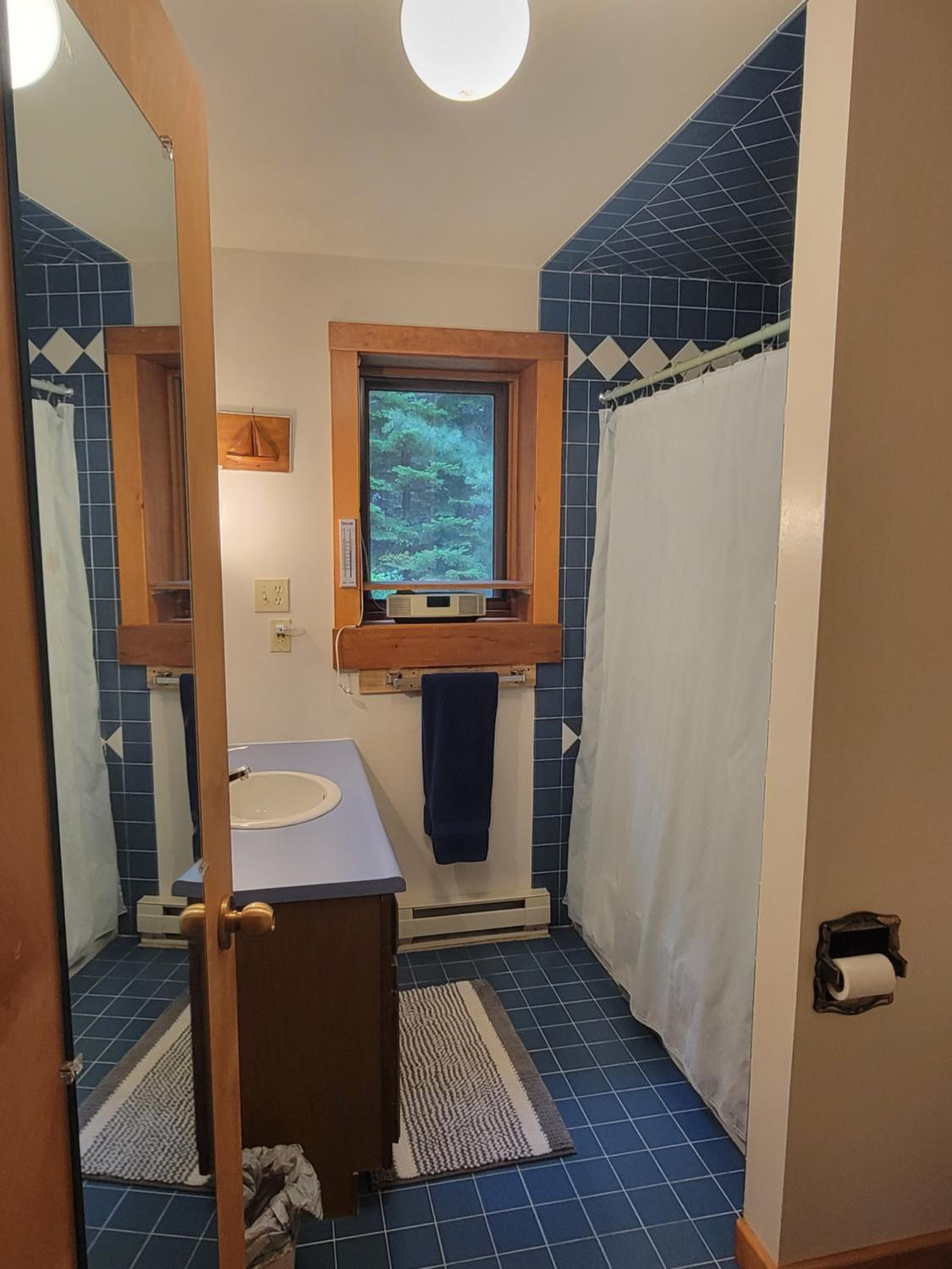 Three-Bedroom House photo 3