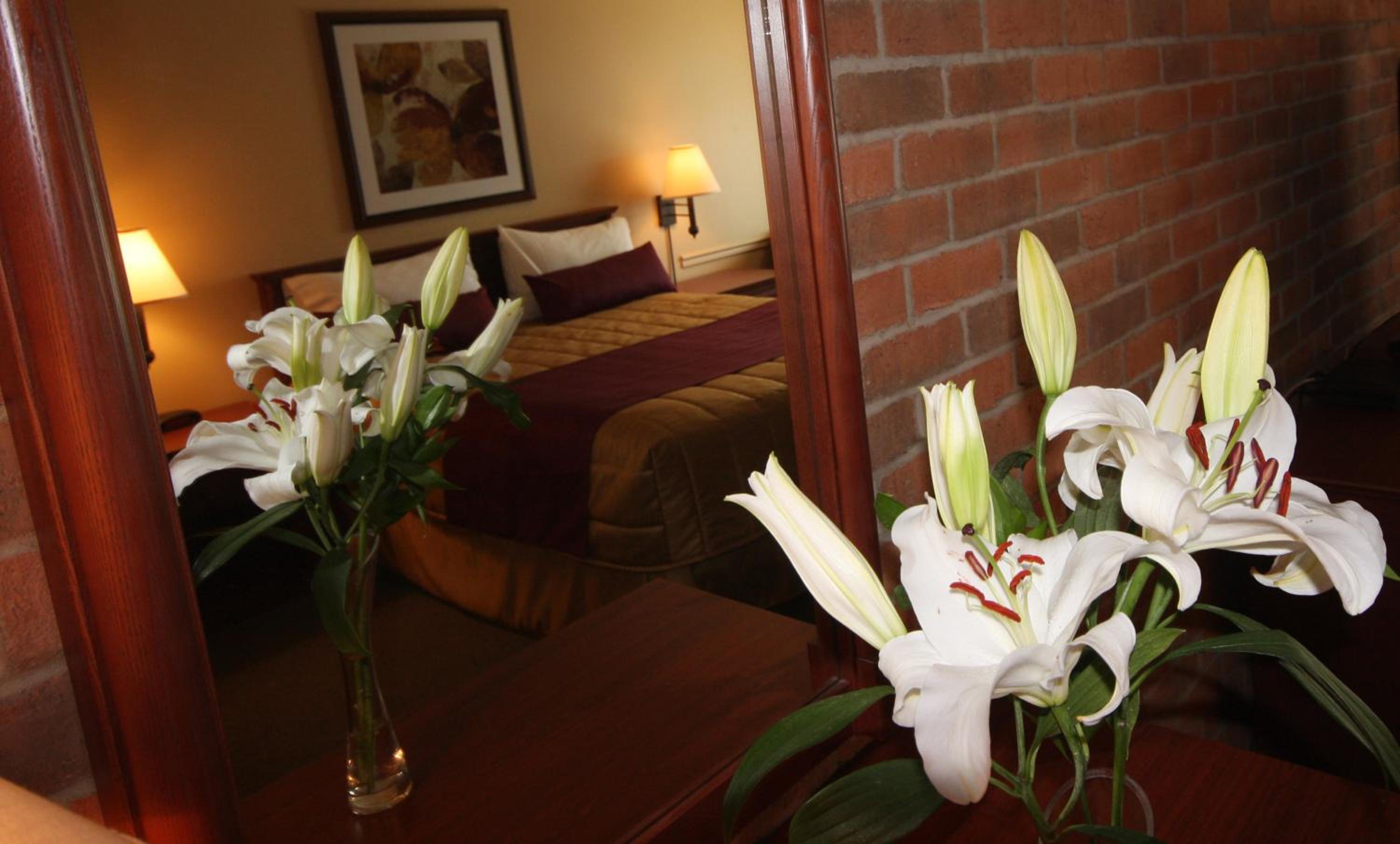 Standard Queen Room photo 1
