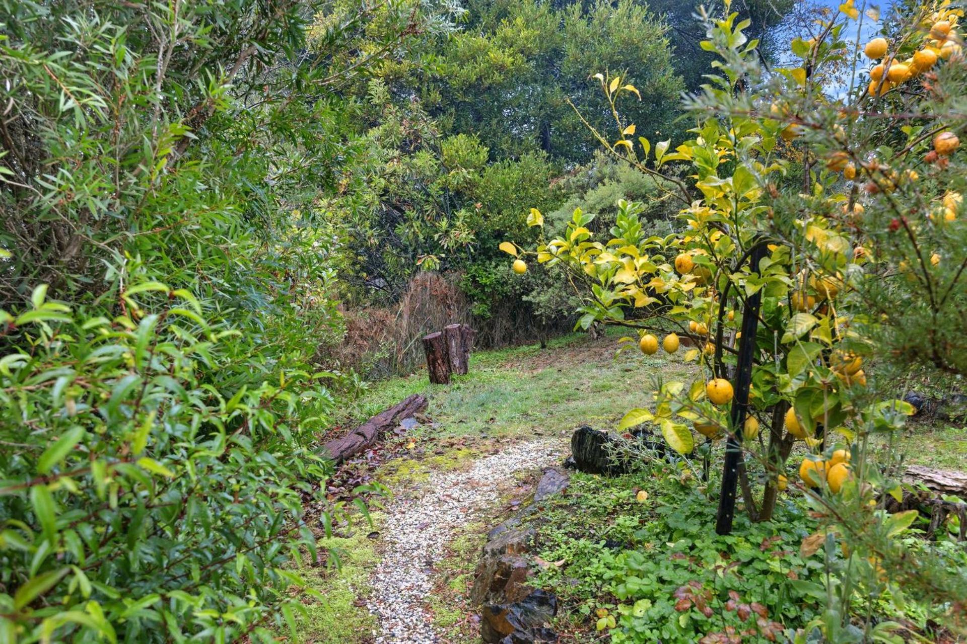 Vacation Home photo 2