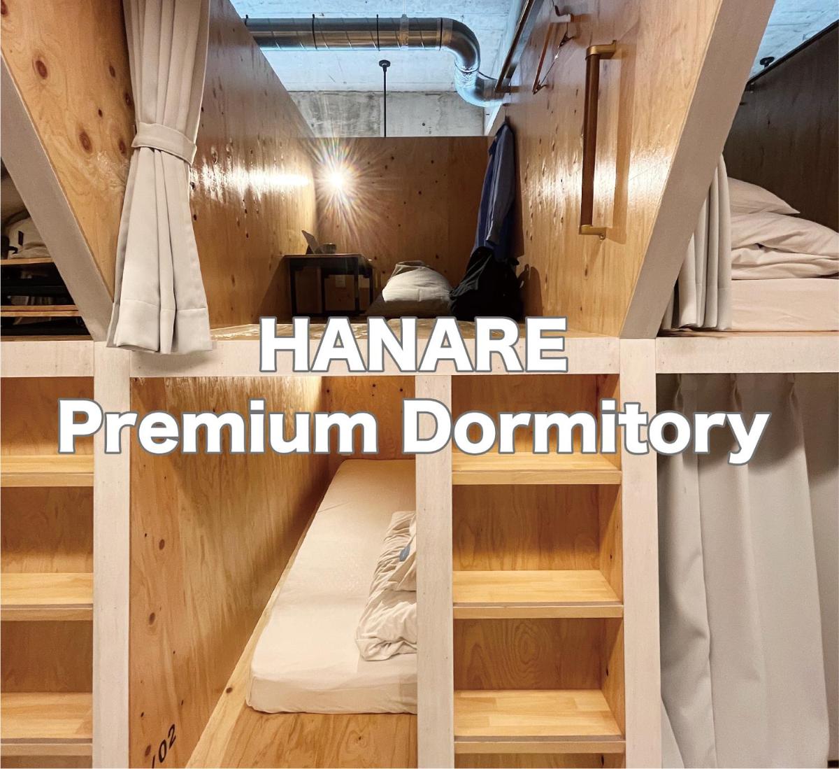 Bunk Bed in Mixed Dormitory Room photo 1