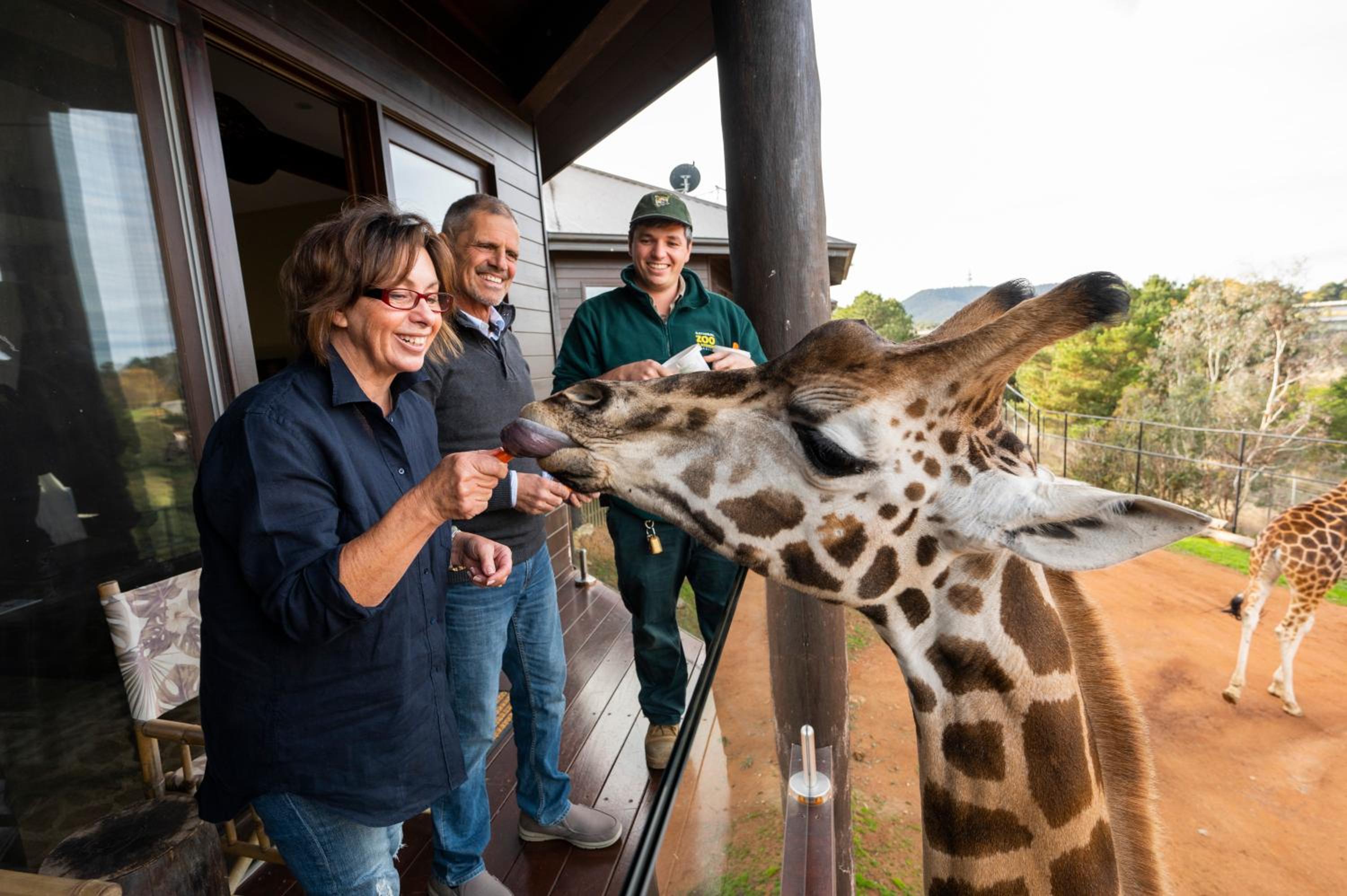 Giraffe Tree House photo 2