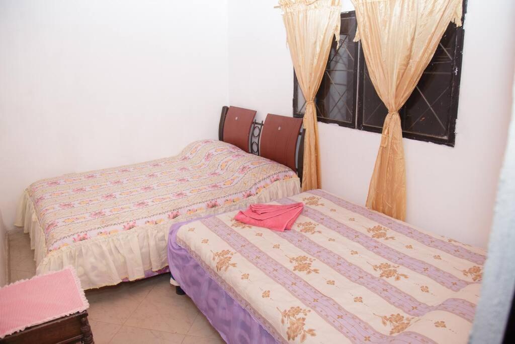 One-Bedroom House photo 1