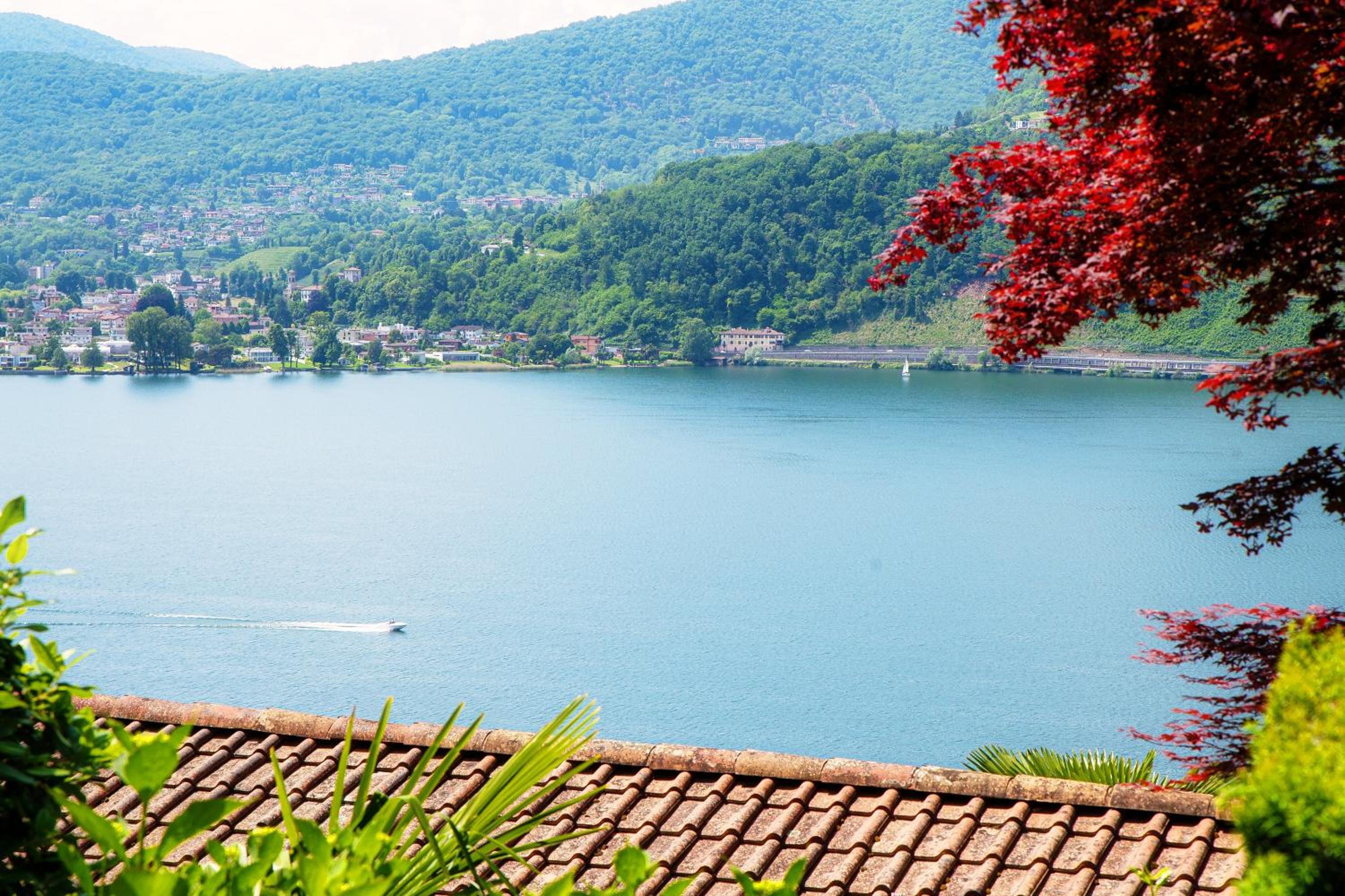 Studio with Lake View photo 3